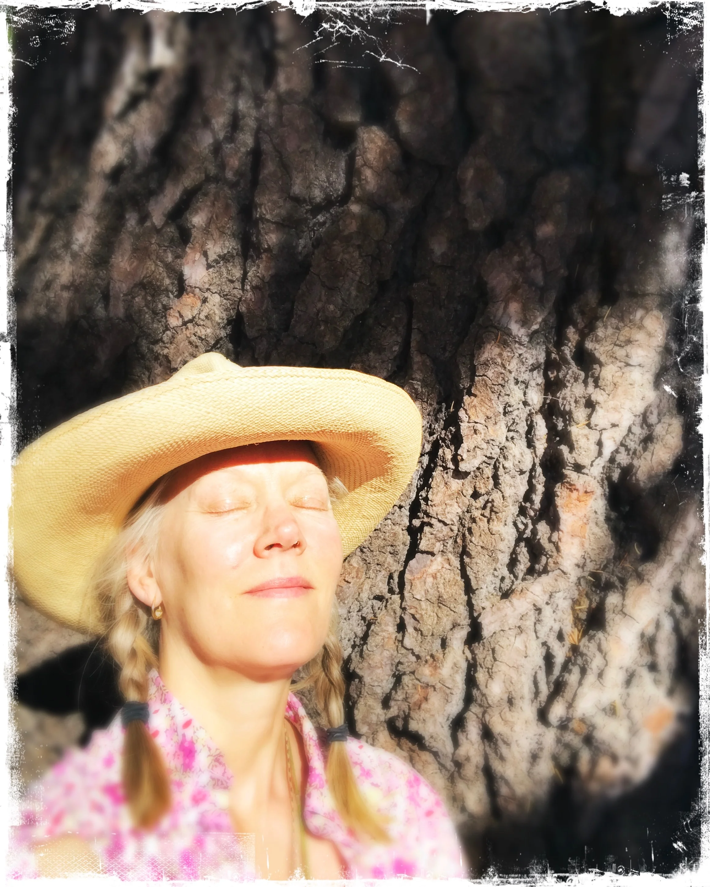 Into My Body : Musings