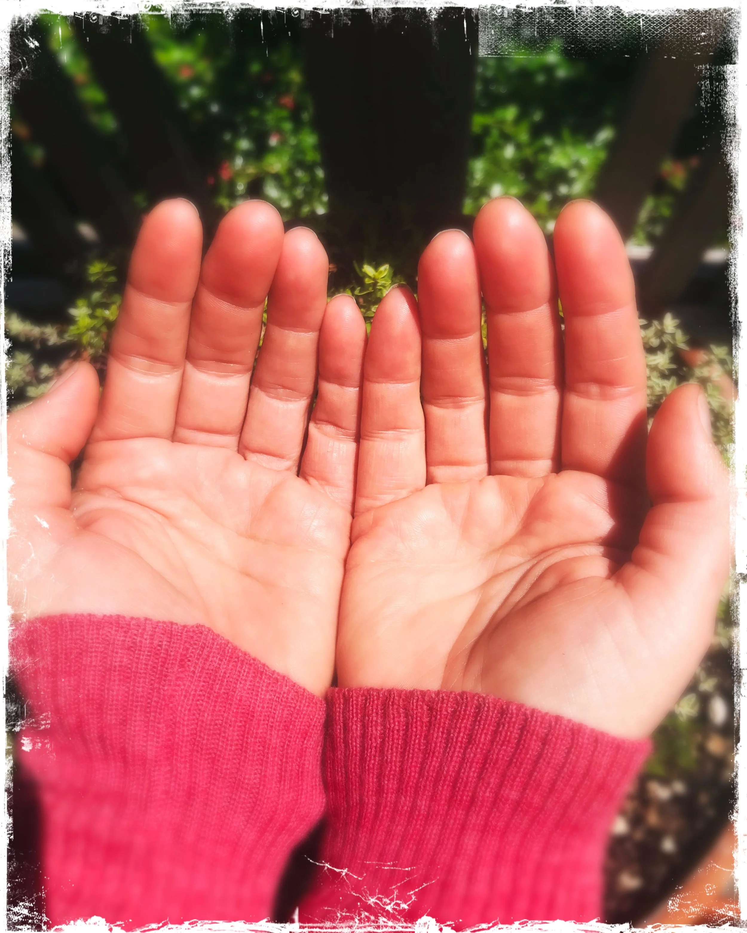 Holding Space &amp; Creating a Container : Musings