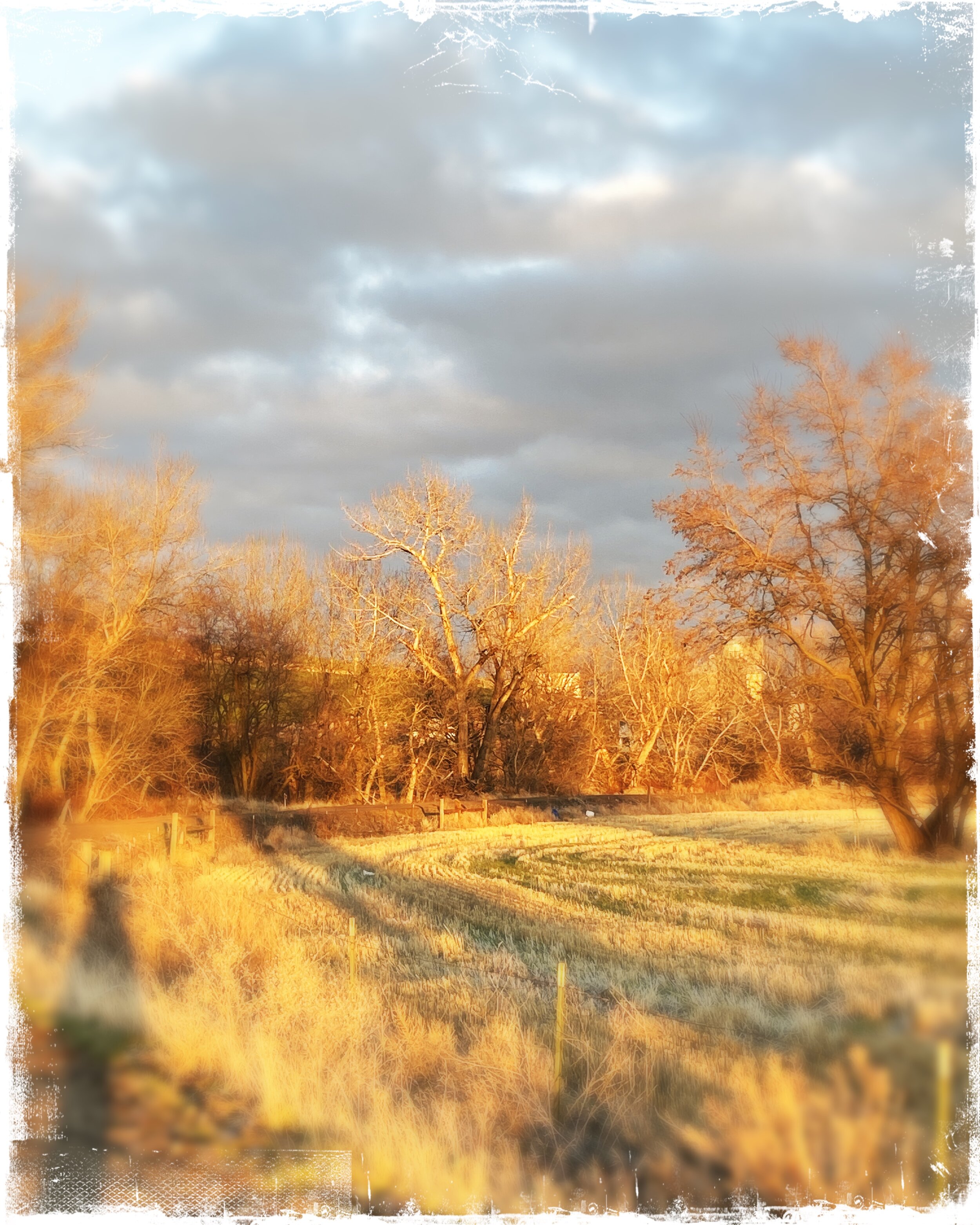 Sunday March 14th * Online Sound Meditations via Crowdcast