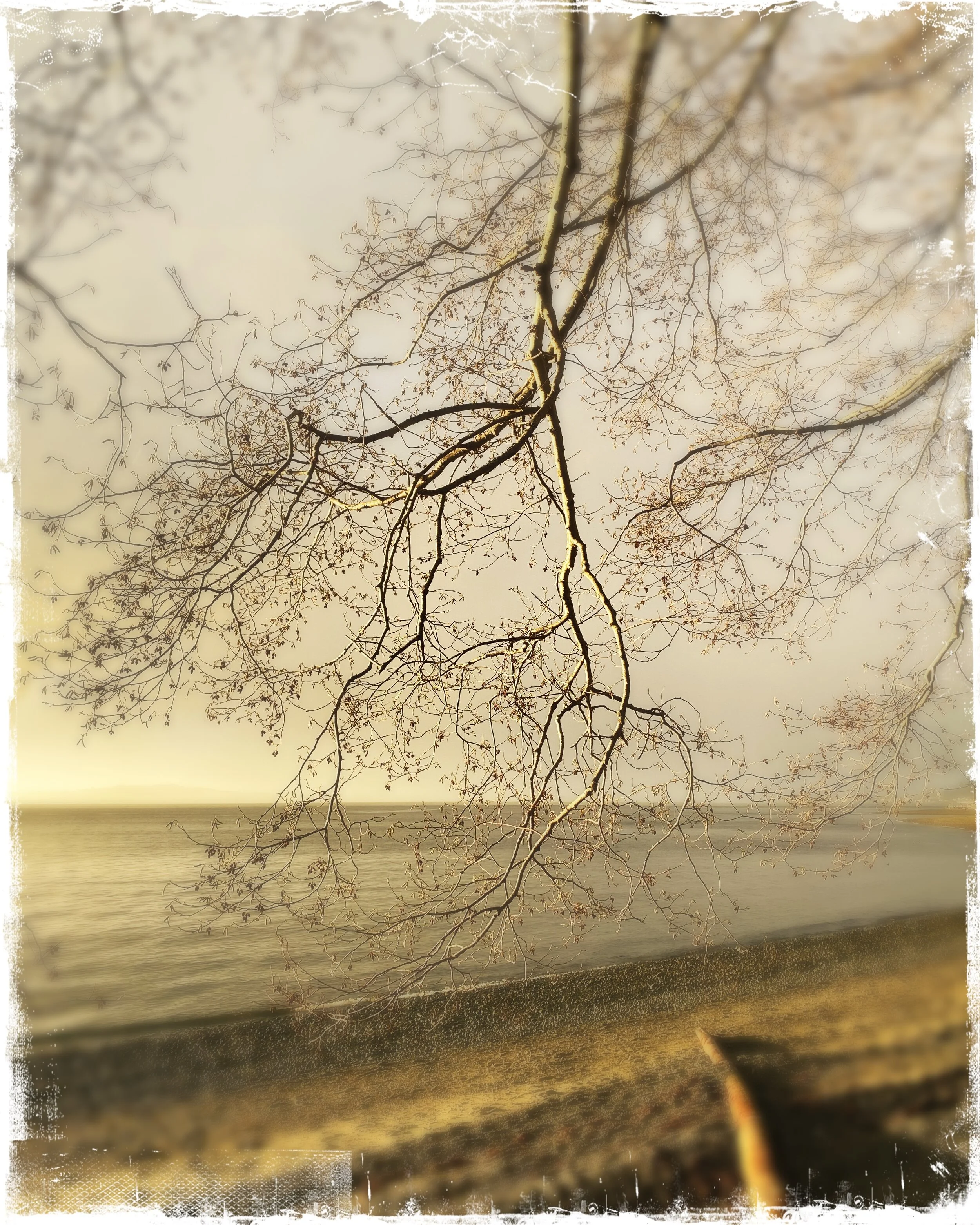 Sunday March 28th * Online Sound Meditations via Crowdcast