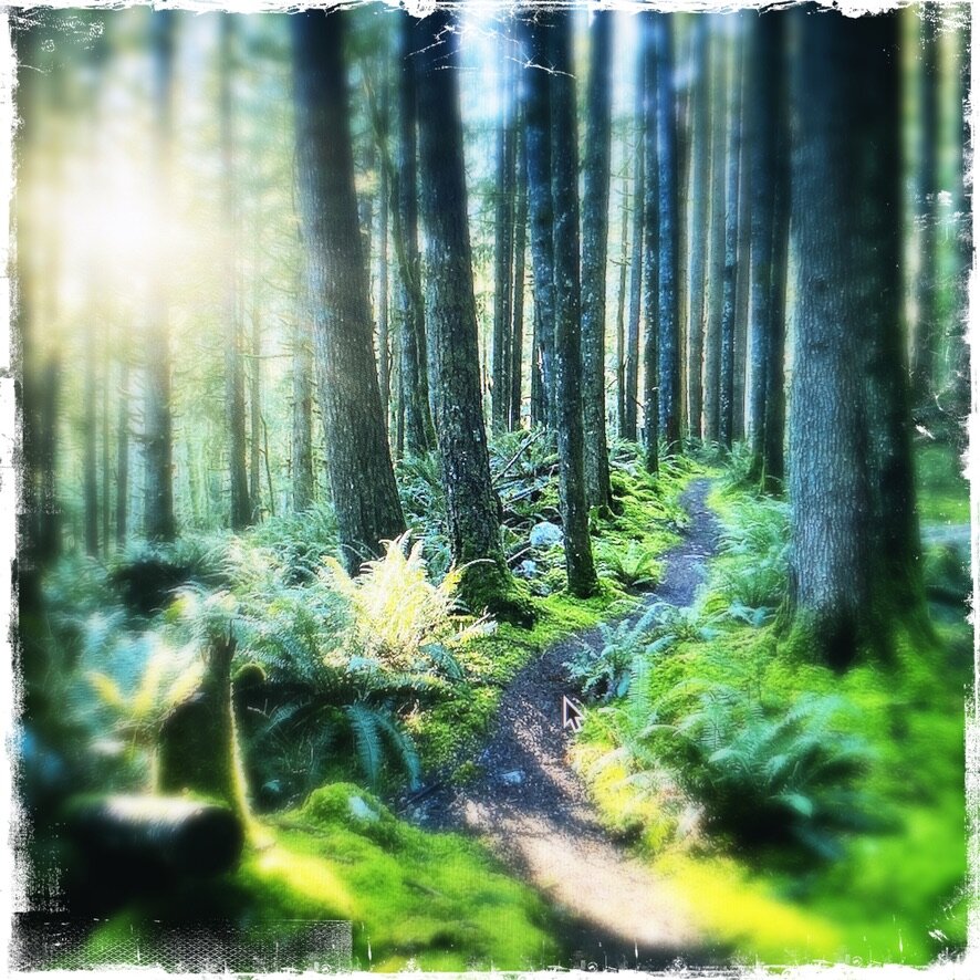 Soft Fascination : Research 