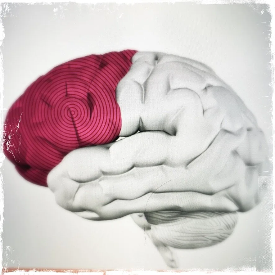 Your Brain on Music : Research 