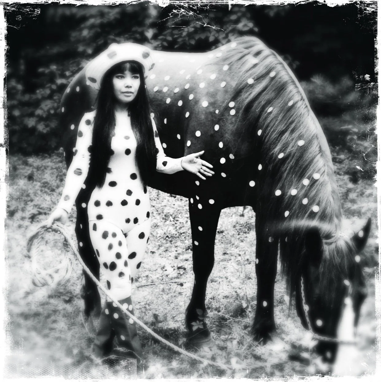 Yayoi Kusama : Visionary 