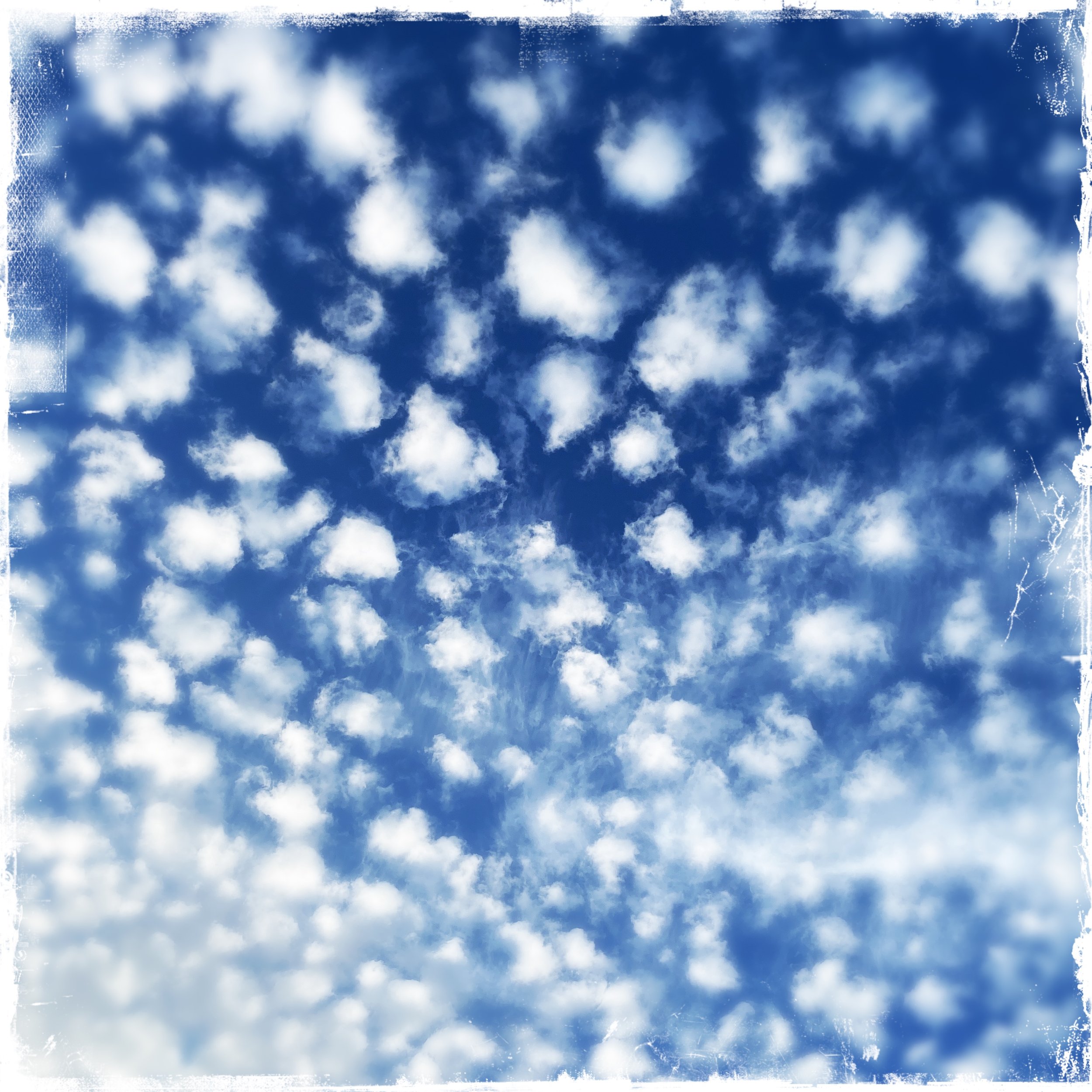 The Cloud Appreciation Society : Podcast &amp; Article 