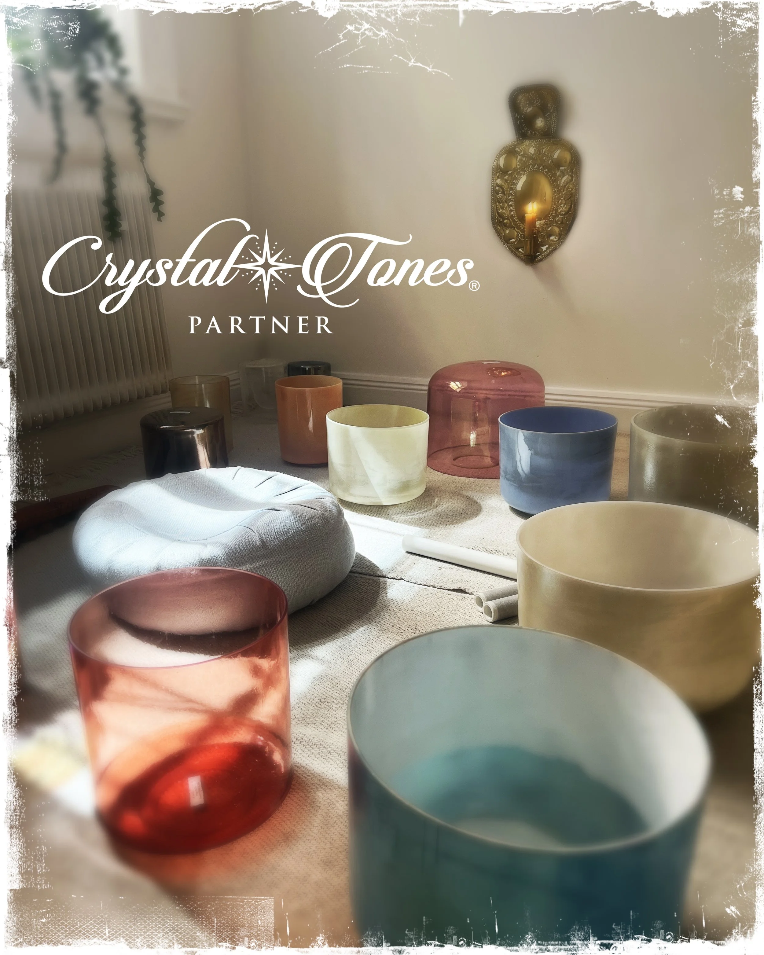 Workshops &amp; Bowl Consultations 