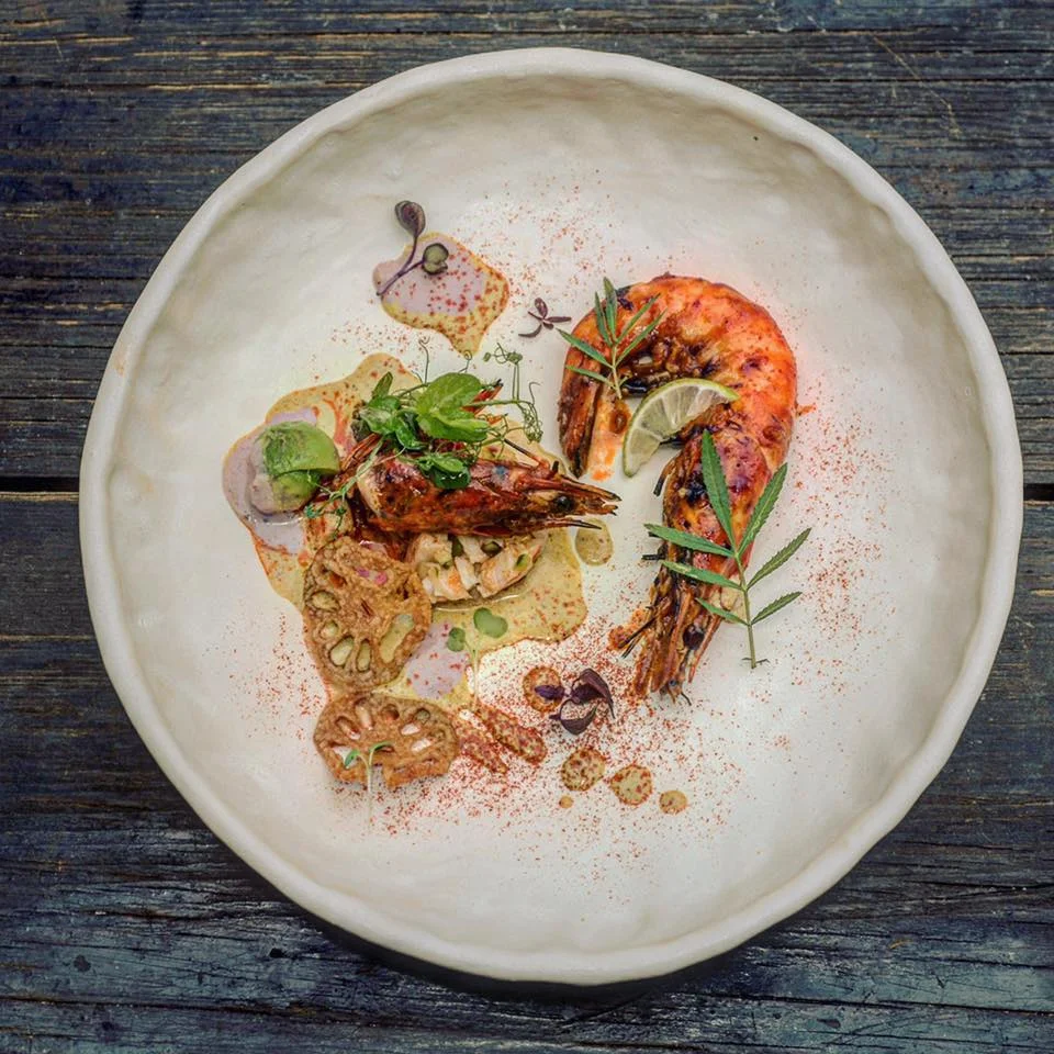 Surfish+Shrimp.jpg