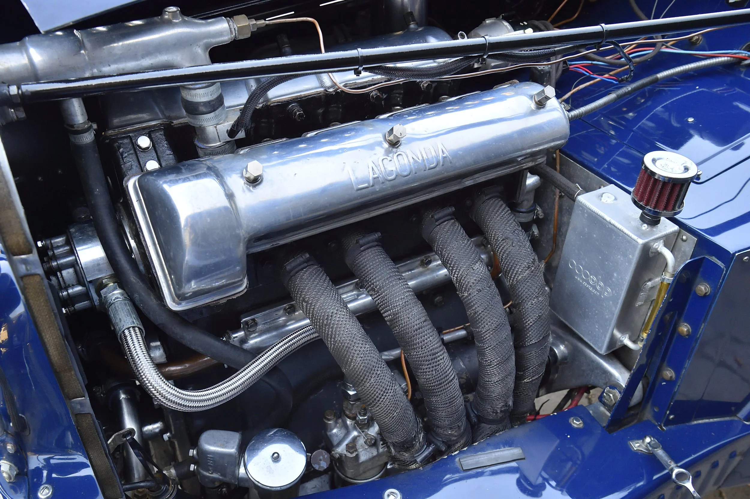 blue_Matt_Woods_Photography (32).JPG