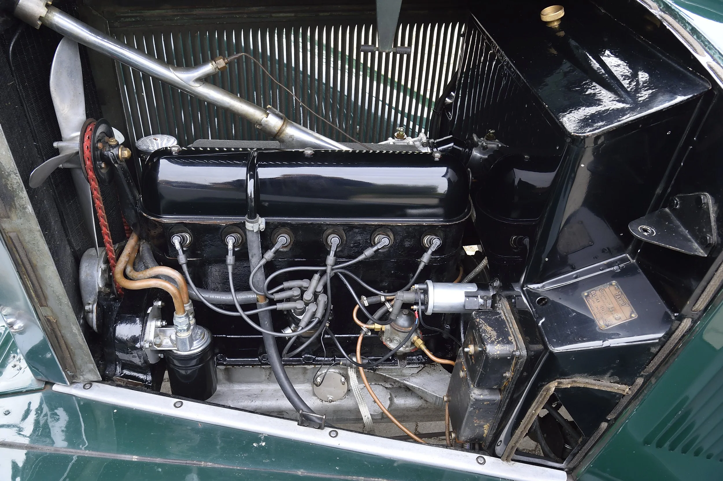 Green_Talbot_Matt_Woods_Photography (19).JPG