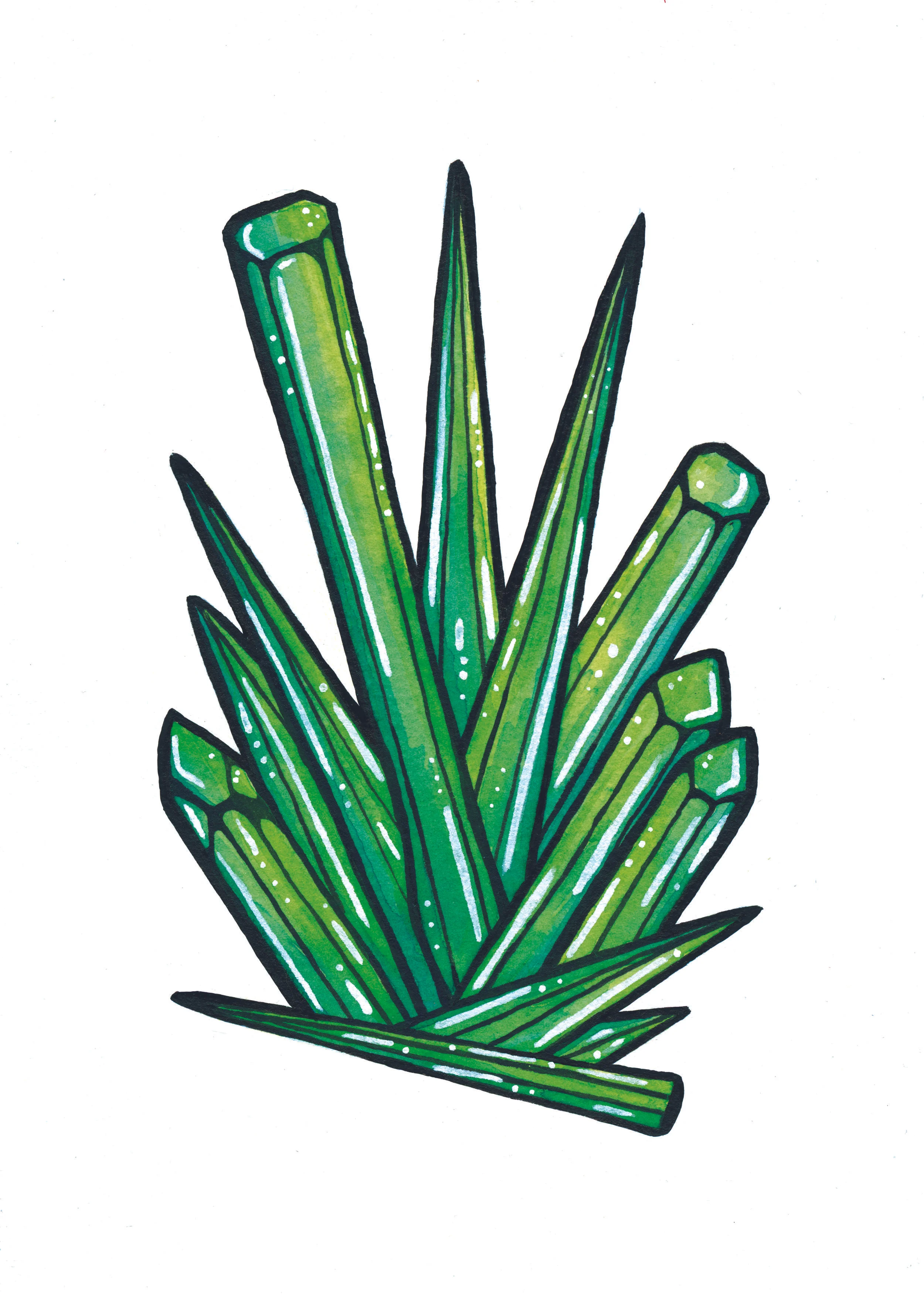 GreenPointyCluster.jpg