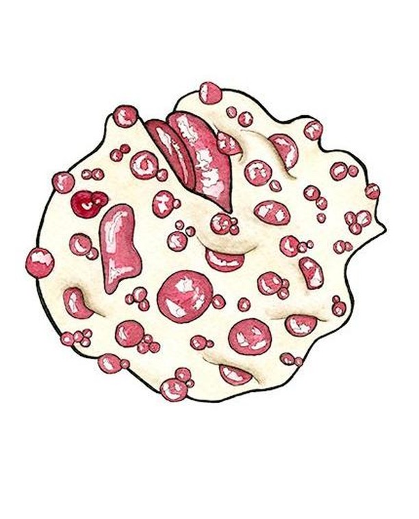 Day 11: Bleeding Tooth Fungus. My favorite so far! So creepy! Watercolor and Ink. #mayshroom #samguay #watercolor #watercolorart #watercolorpainting #mushroom #mycology #natureart #watercolorandink #mushroomart #bleedingtoothfungus #creepy #weirdshro