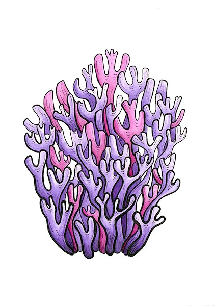 Violet Coral Mushroom