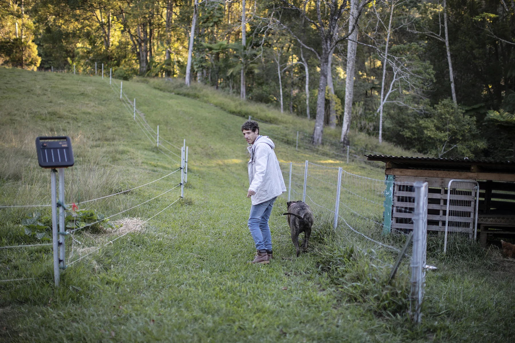 Edo at home at Bodhi Glow Farm Sanctuary in the Byron hinterland