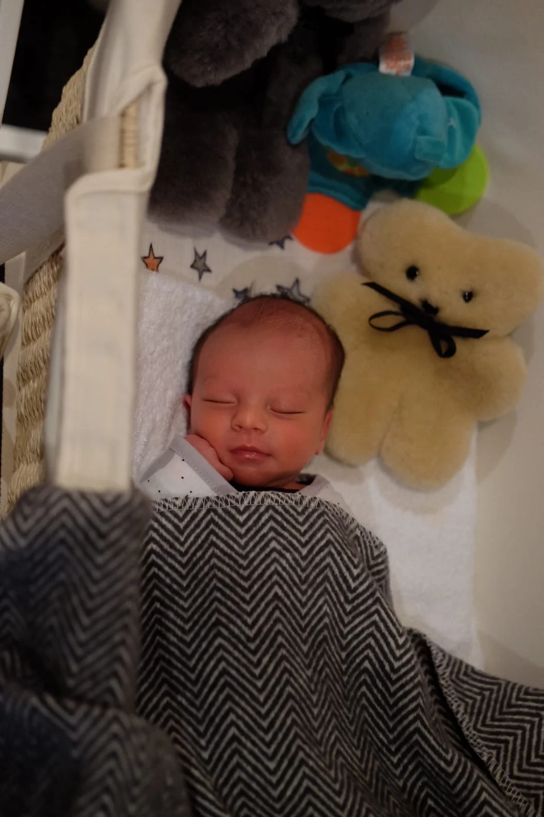 Yuki_newborn2.jpg