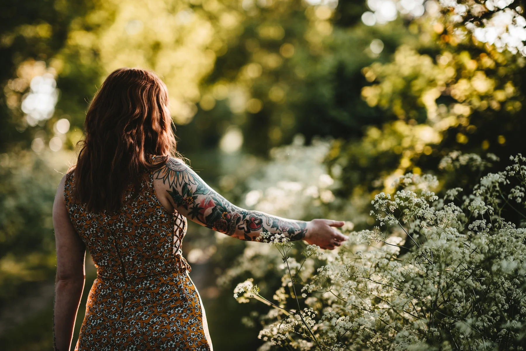 Image Annie Spratt // Unsplash