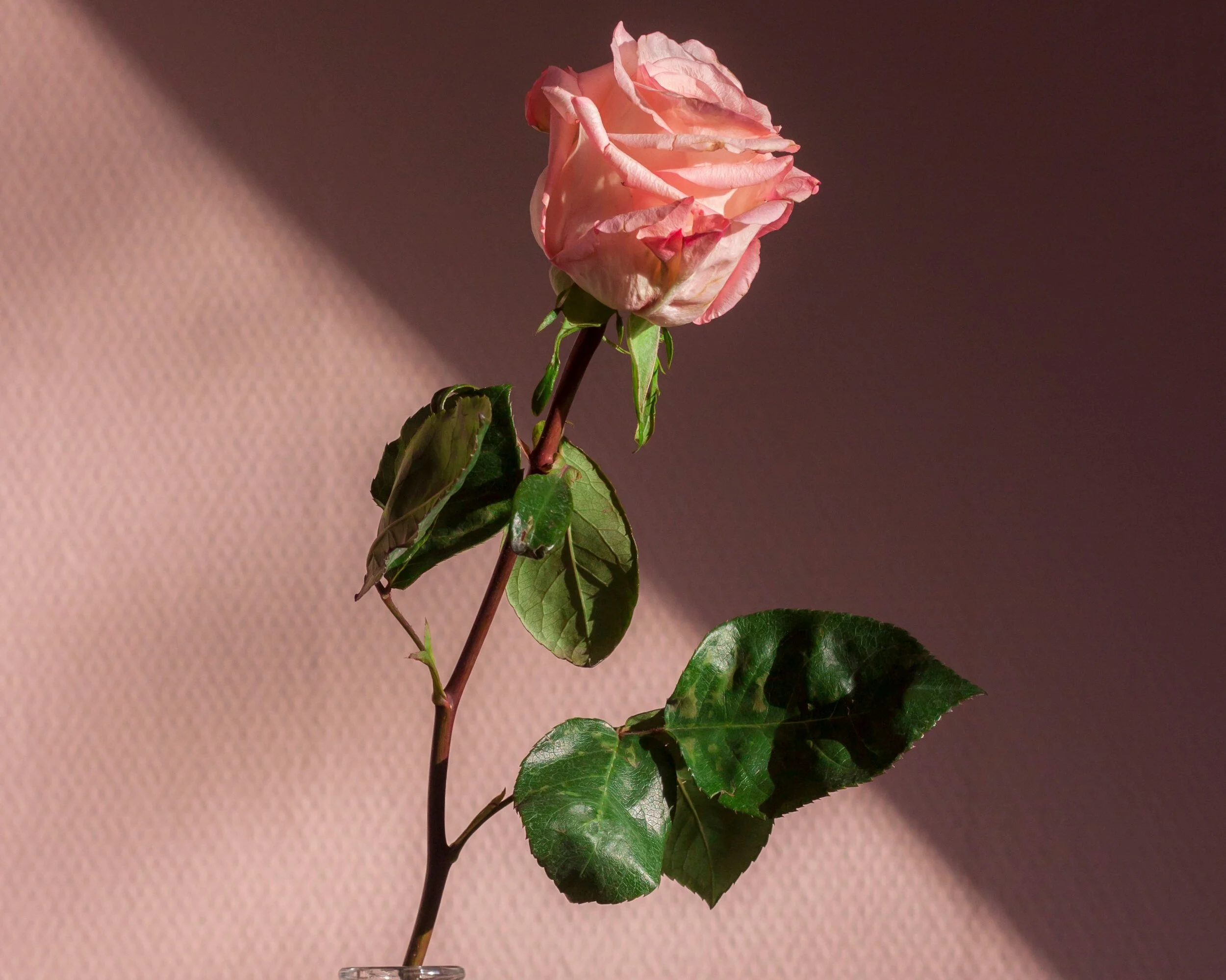 Can you find love through hypnotherapy?