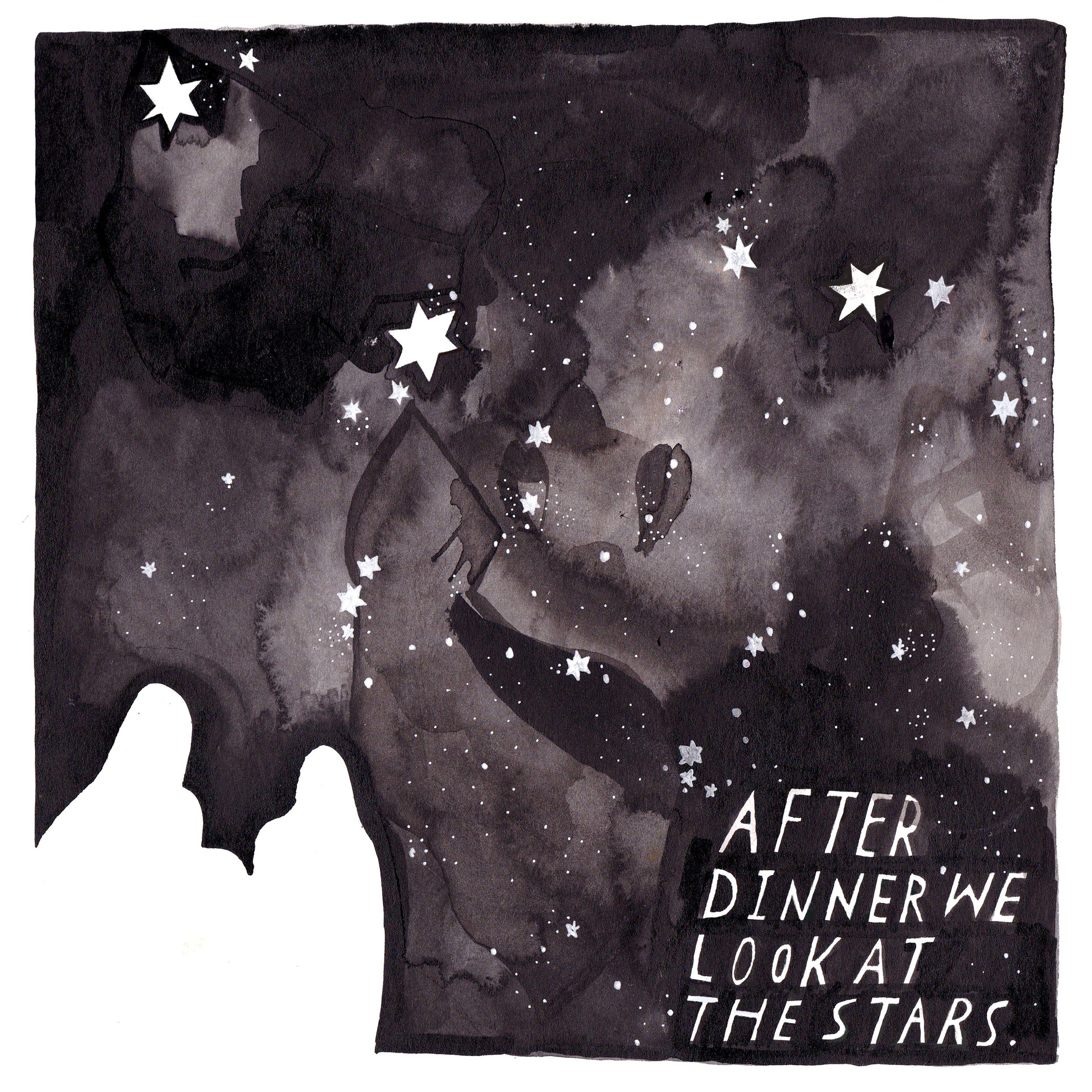 7._after_dinner_we_look_at_the_stars..jpg