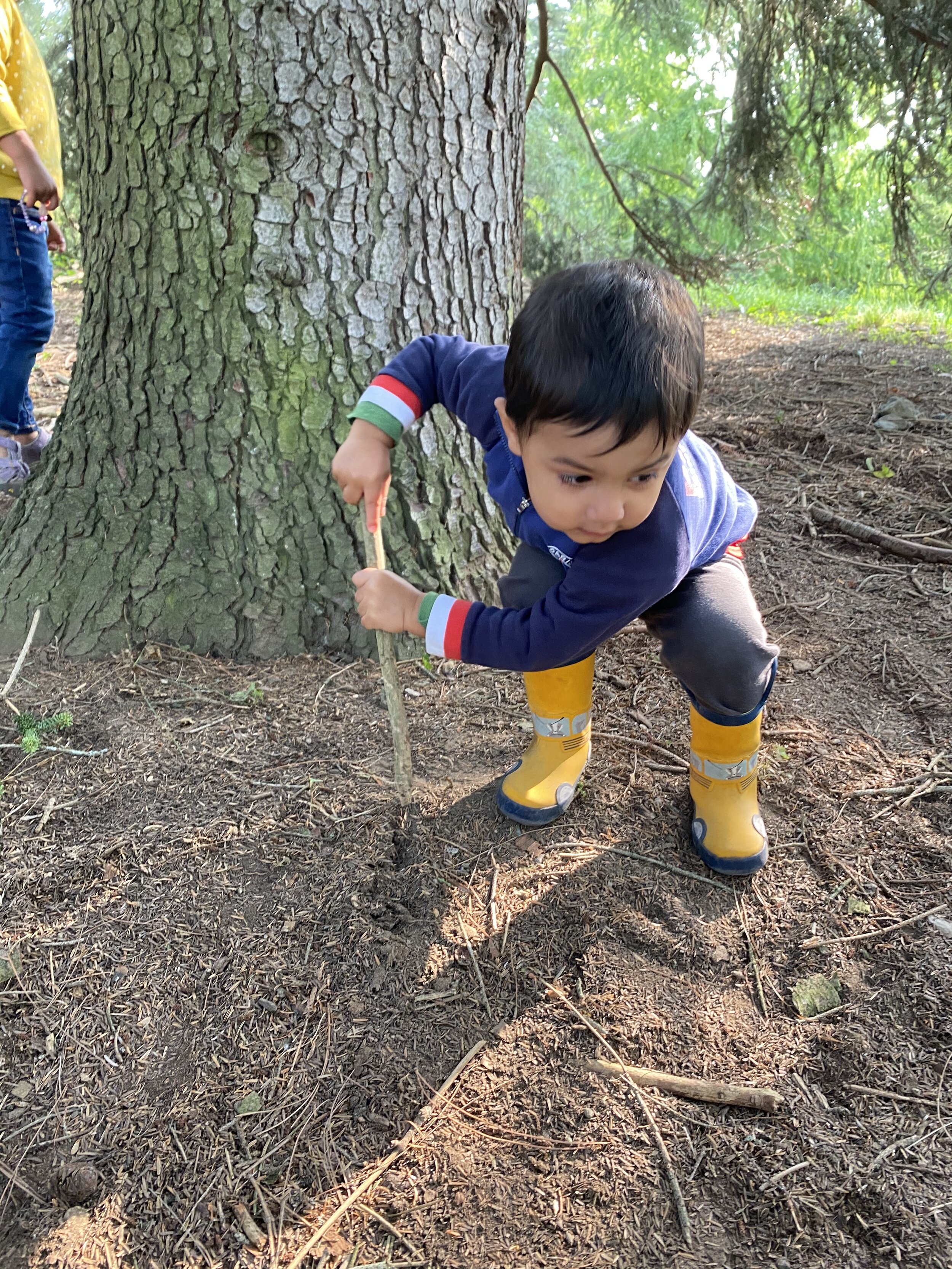 Digging.jpeg