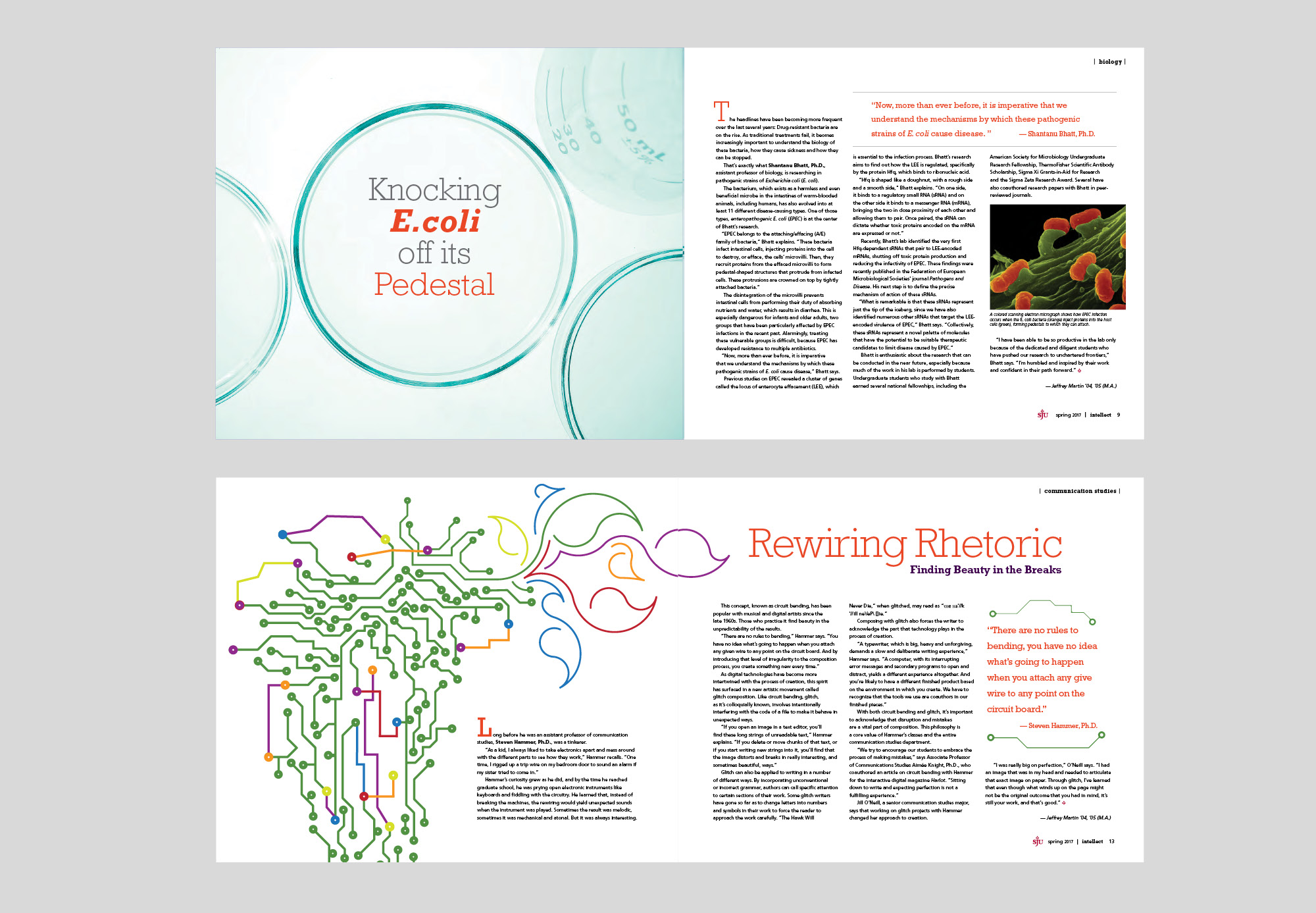 Intellect magazine spreads