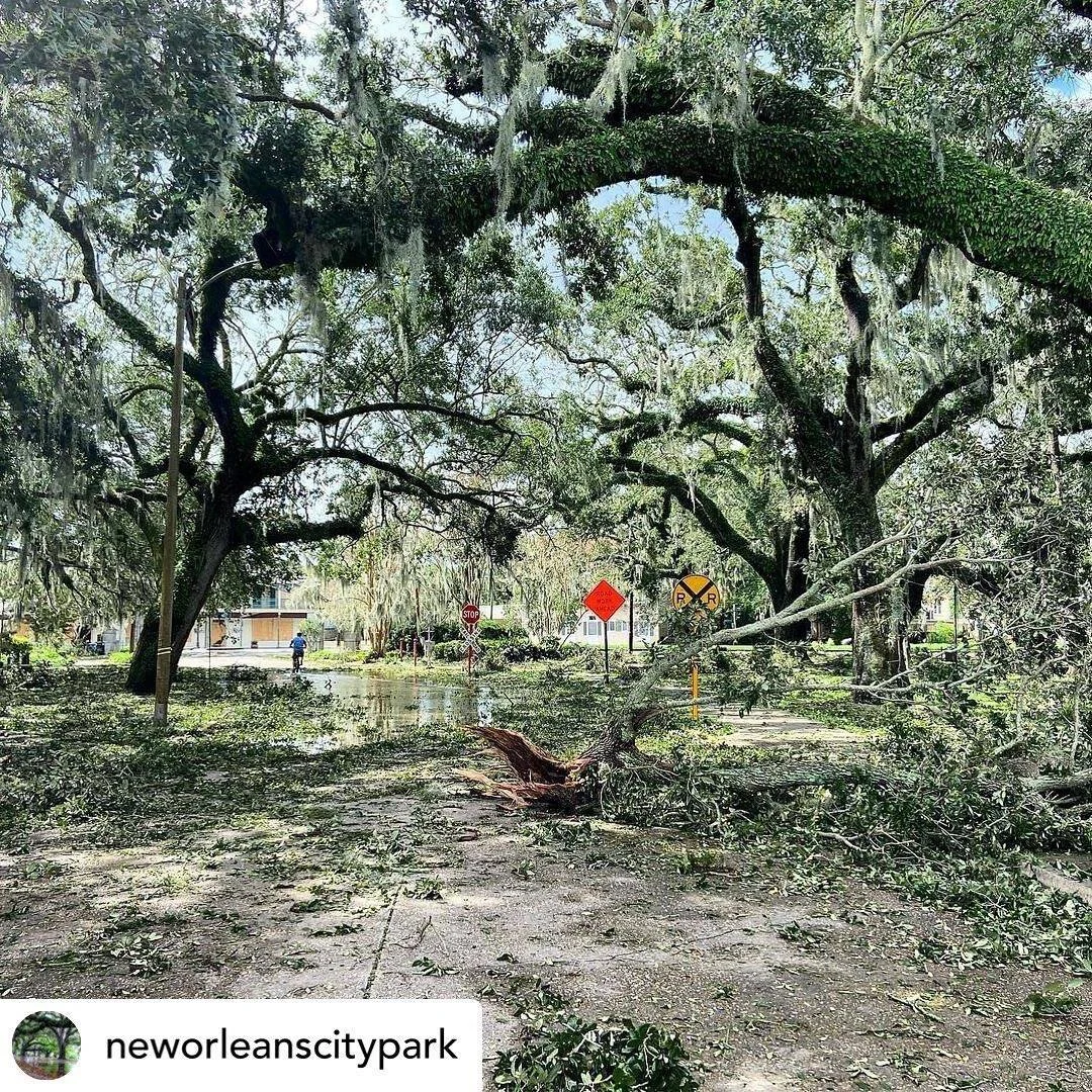 Volunteer with Friends of City Park