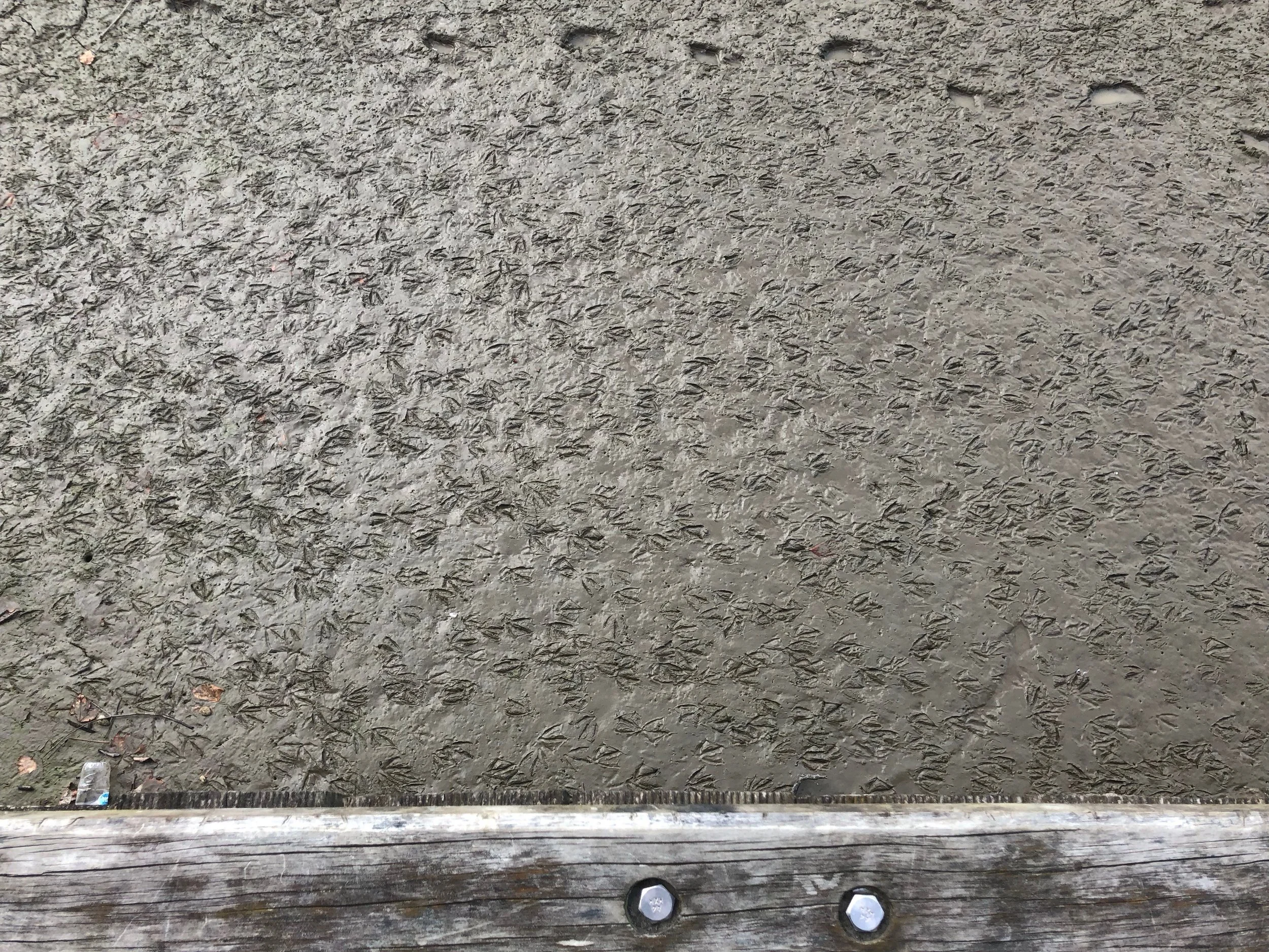 The PR Agency Problem with Integrated Communications