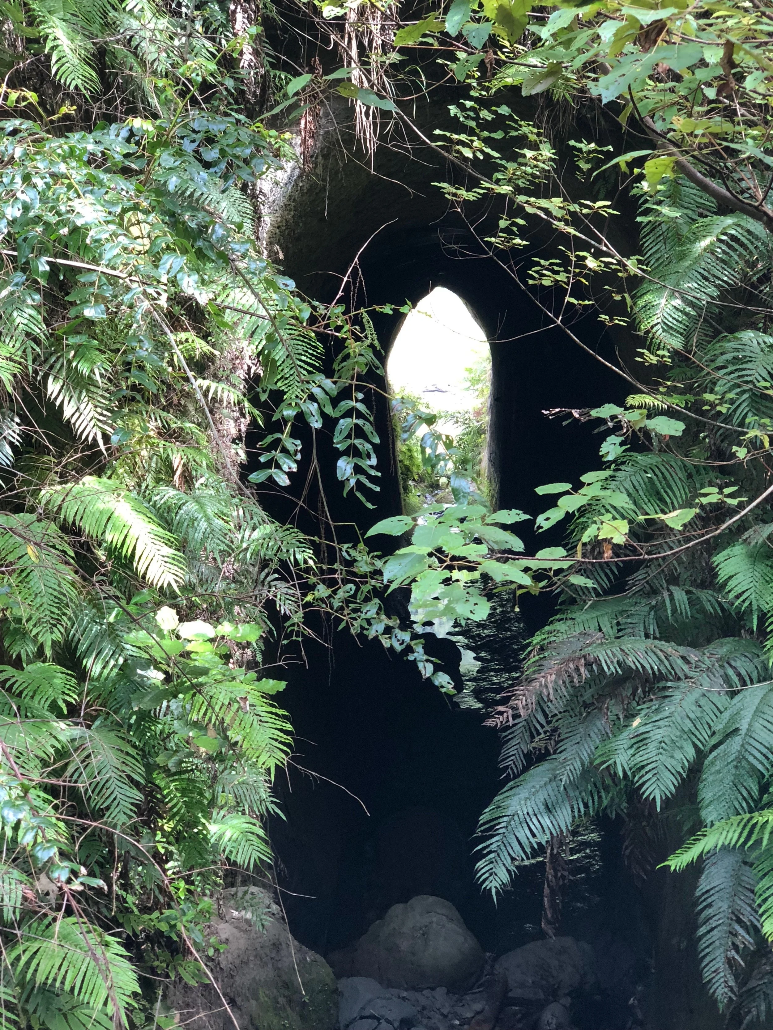 What Tools Can I Use to Find Influencers?