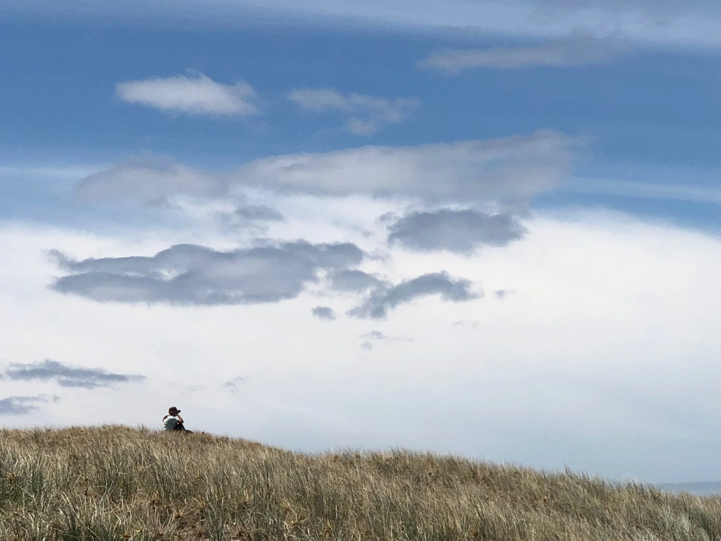 B2B Marketing 2022 Part Three: Meet the New Marketing Pro