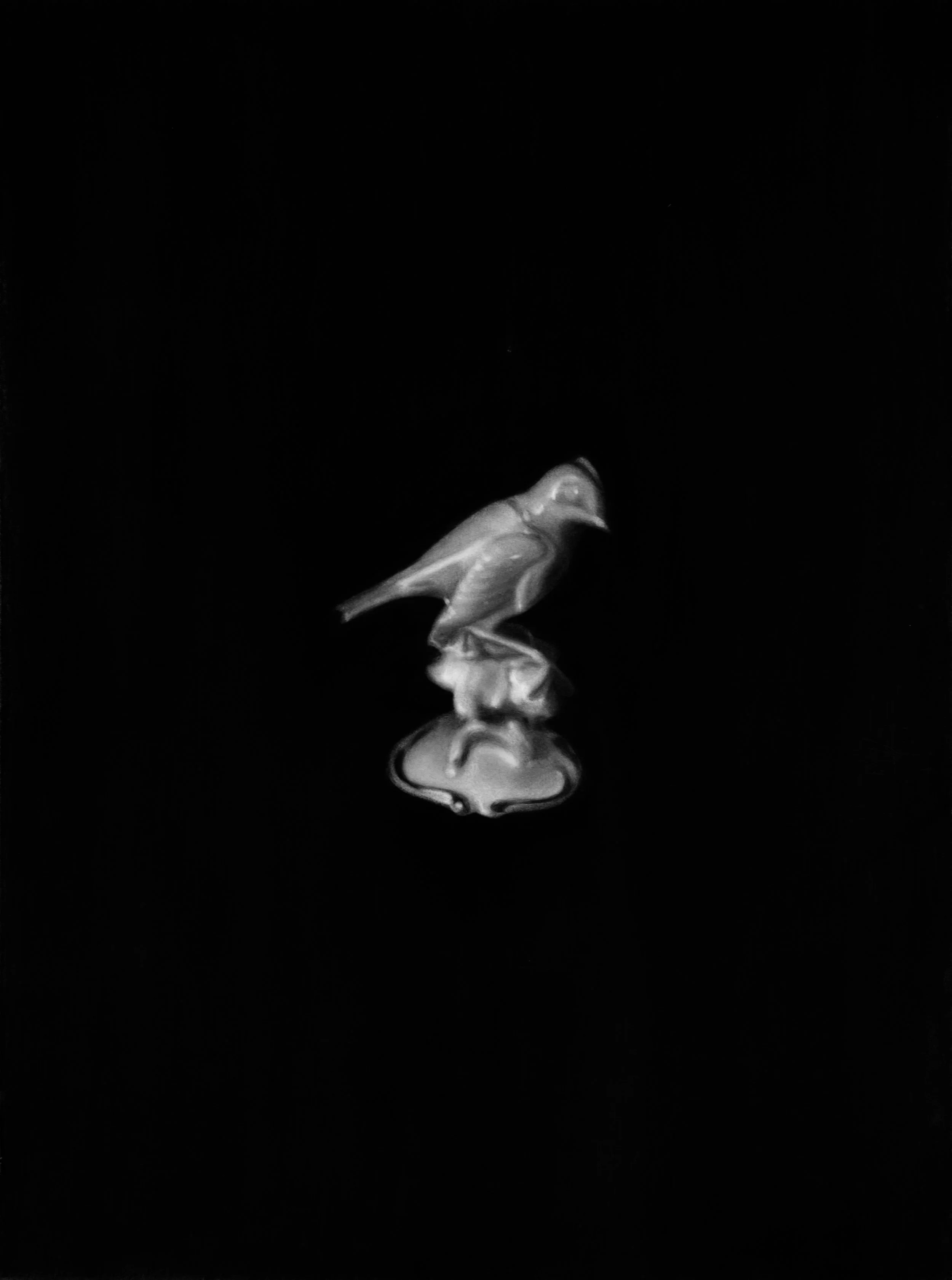 Bird.jpg