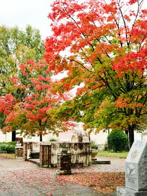 The Gratitude of Hope