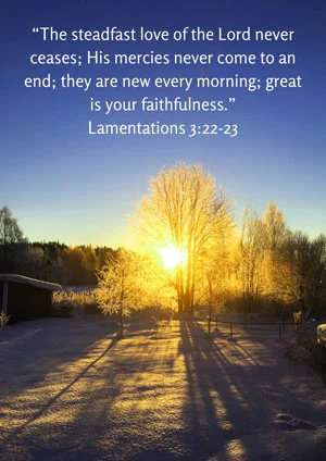 Pressing the Reset Button