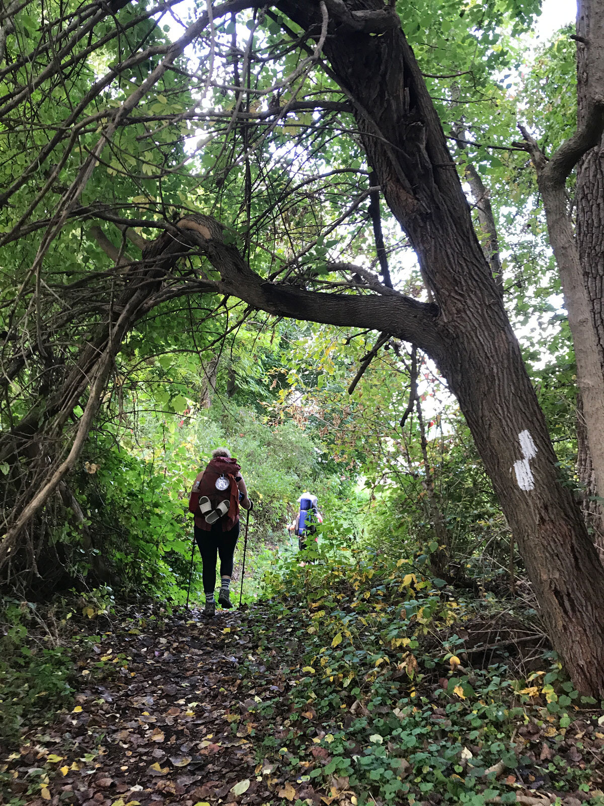 Hiking Out