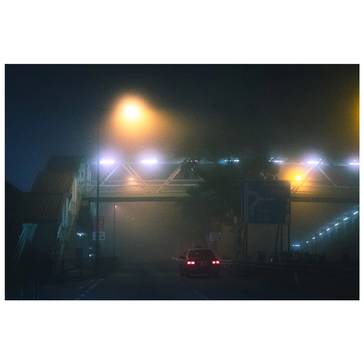 2019