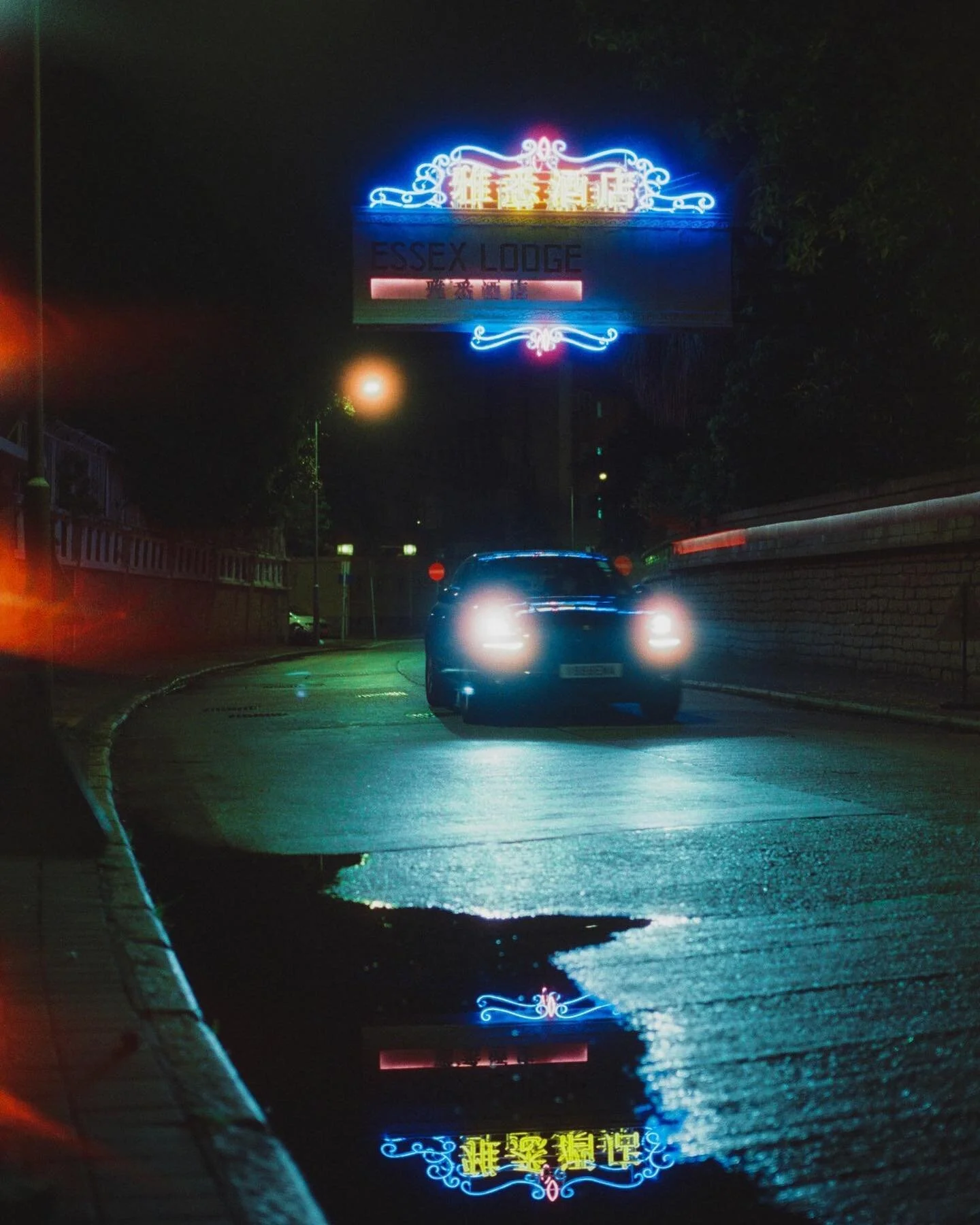 Leaked

#cinestill800t