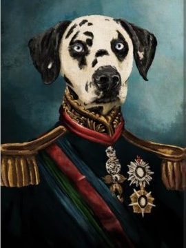 ‘Dalmation Duke’