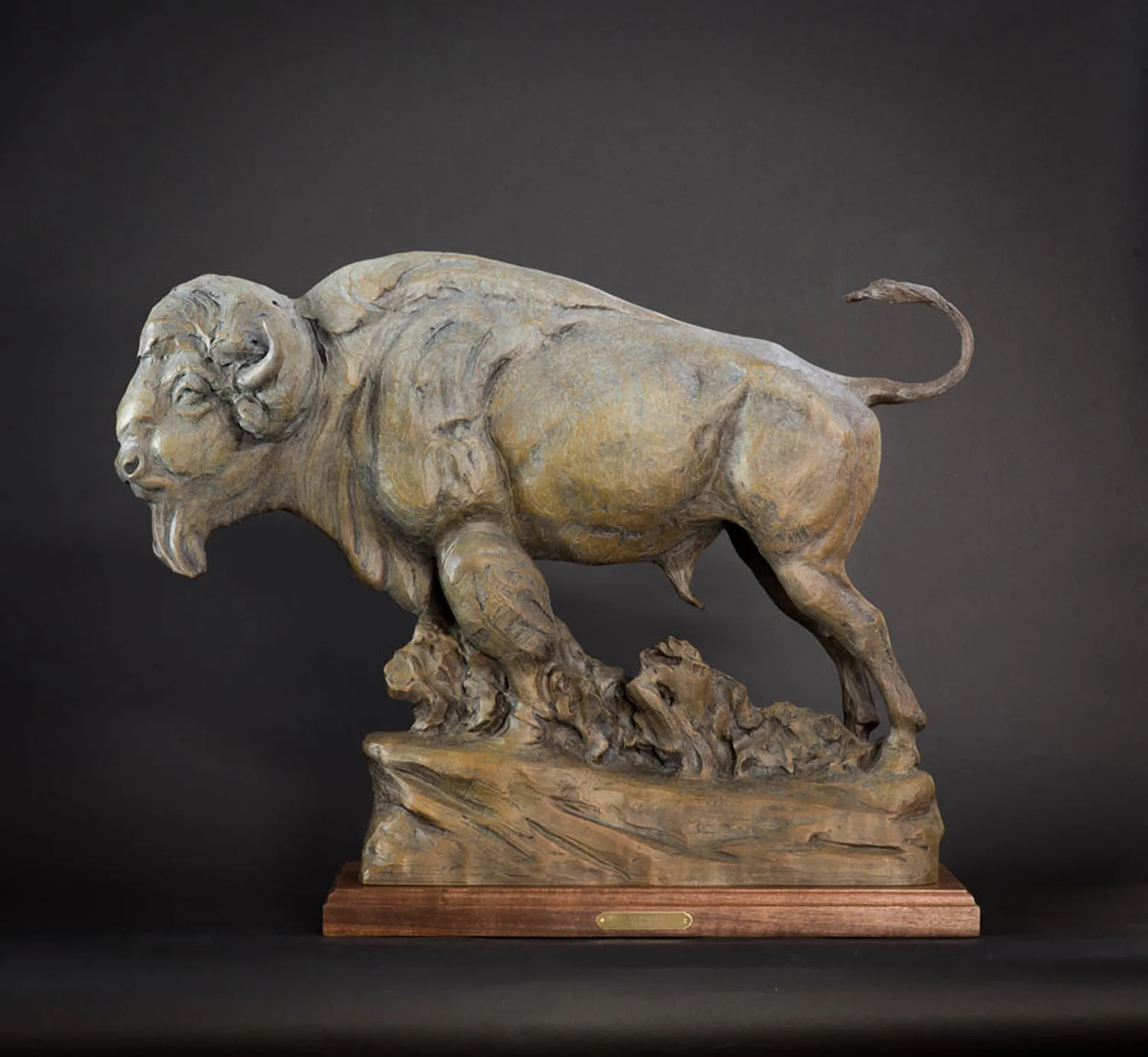 Big Medicine, Wildlife Art