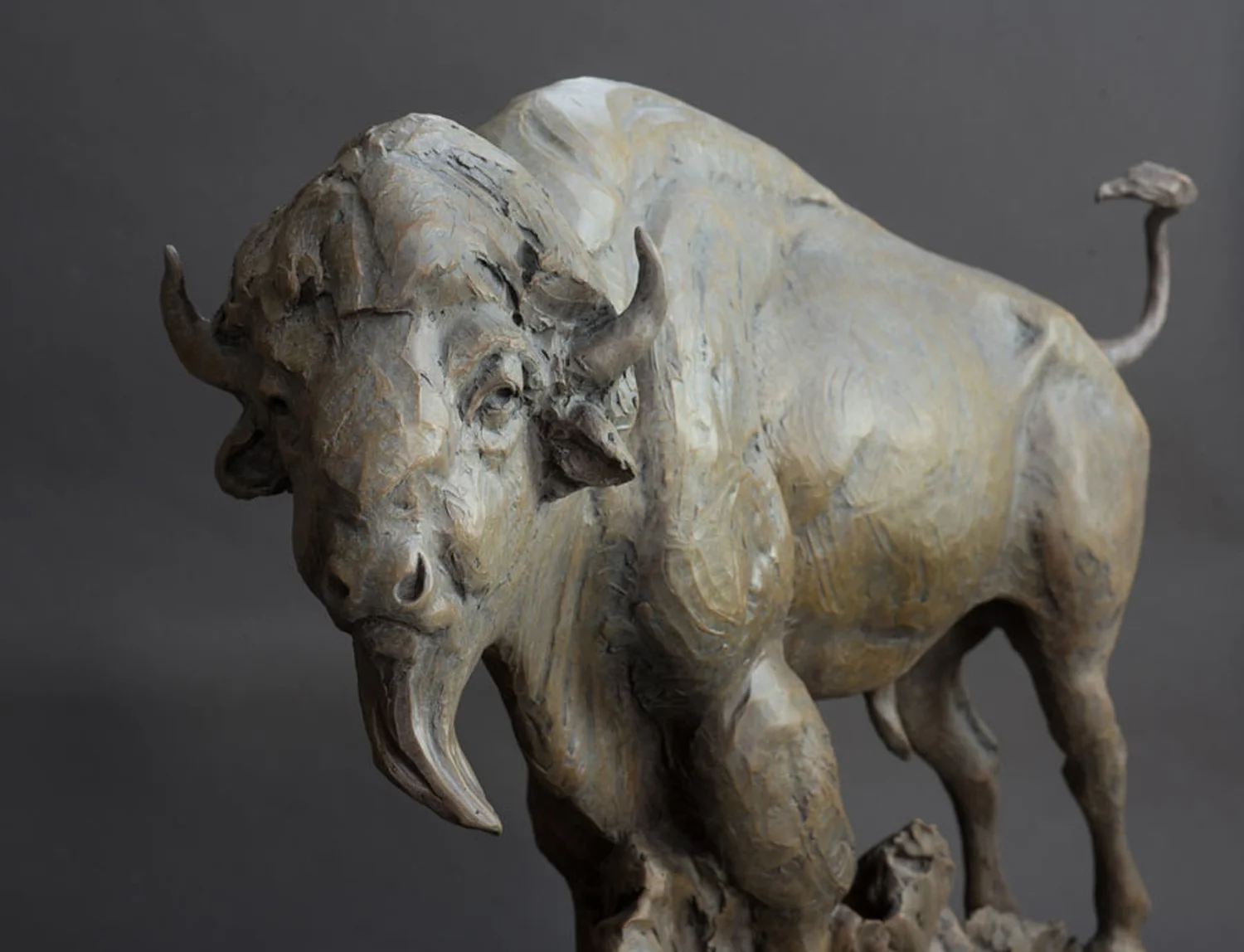 Big Medicine, Wildlife Art