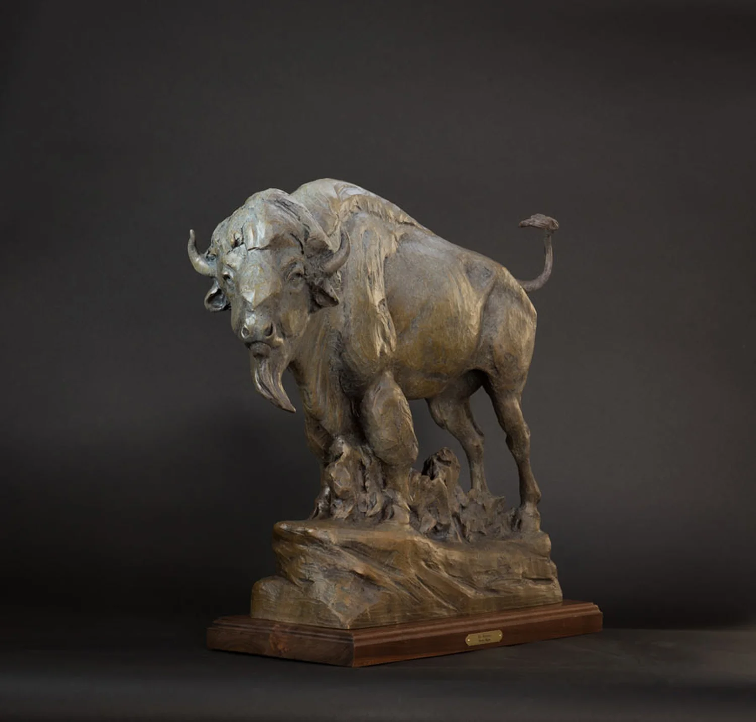 Big Medicine, Wildlife Art