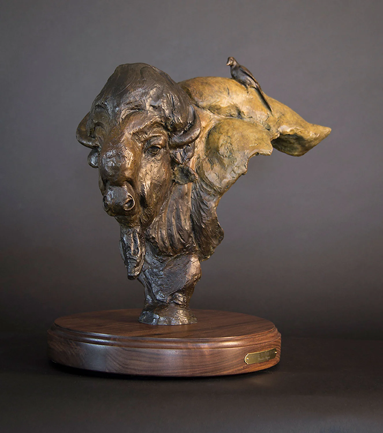 Friends in High Places, Wildlife Art, Buffalo