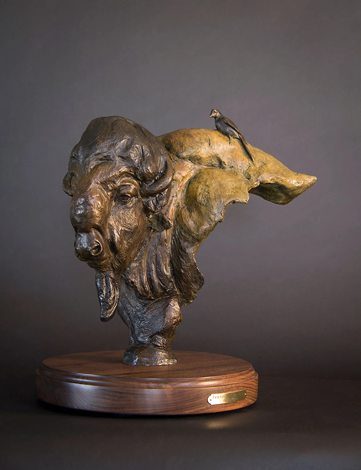 Friends in High Places, Wildlife Art, Buffalo