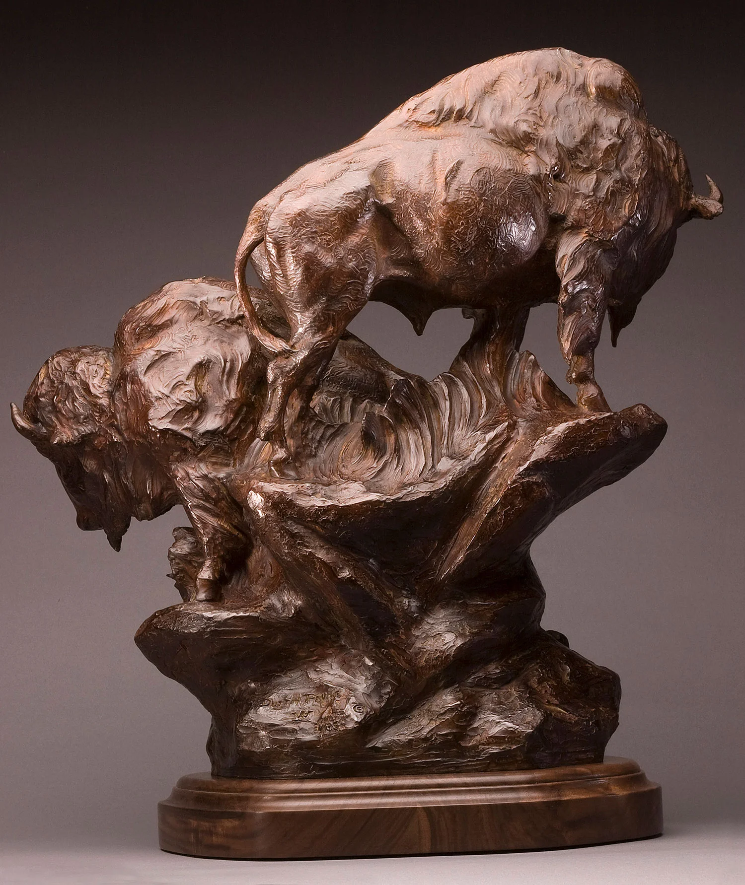Born in the Yellowstone, Bison, Wildlife Art