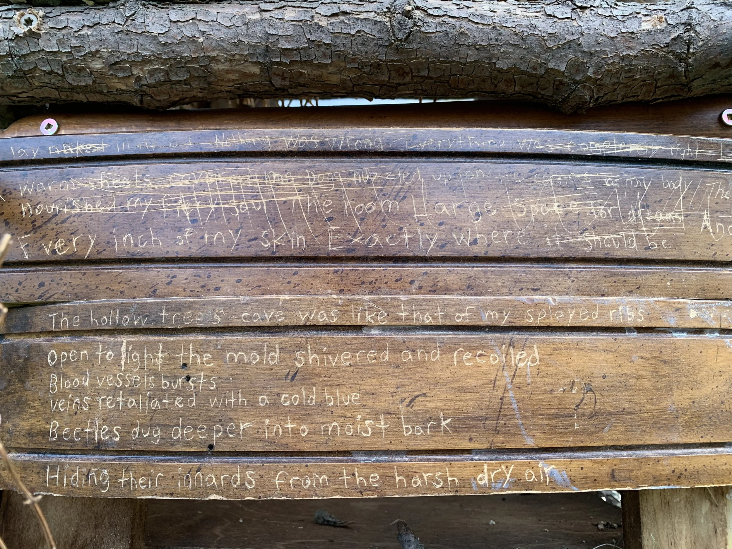 Like A Wet Fish Detail 2. jpg.jpeg