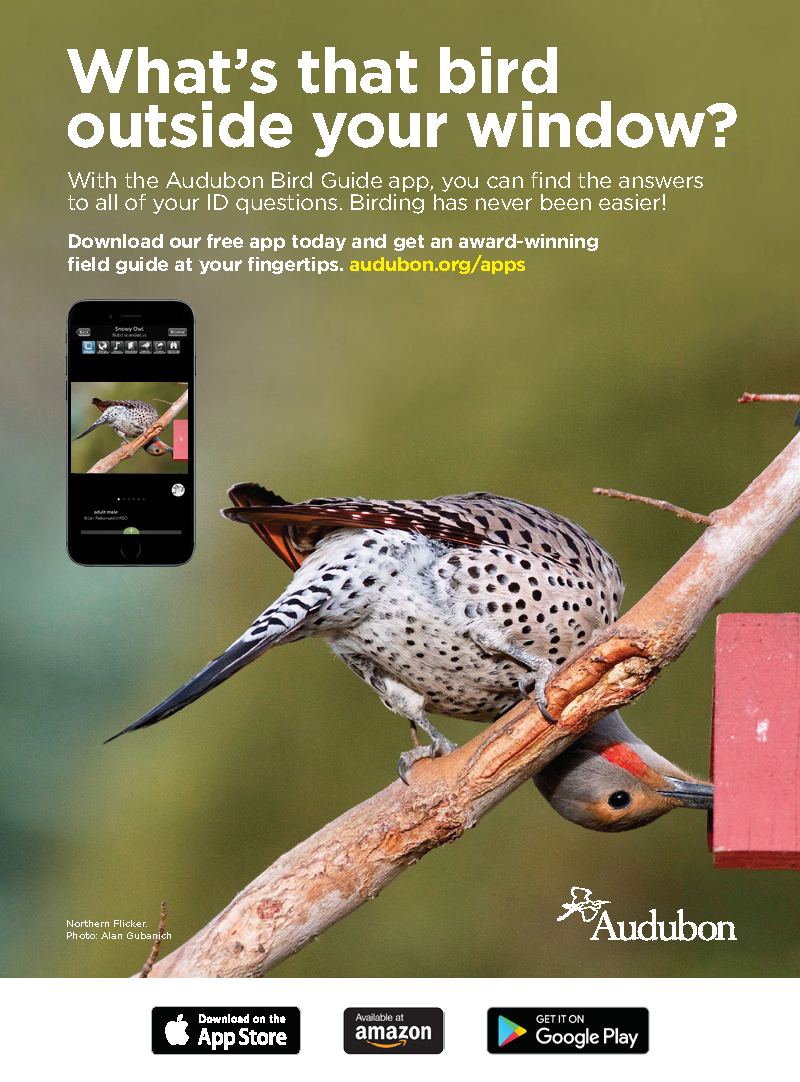AU0217_AudAppAd_v6_Page_1.png