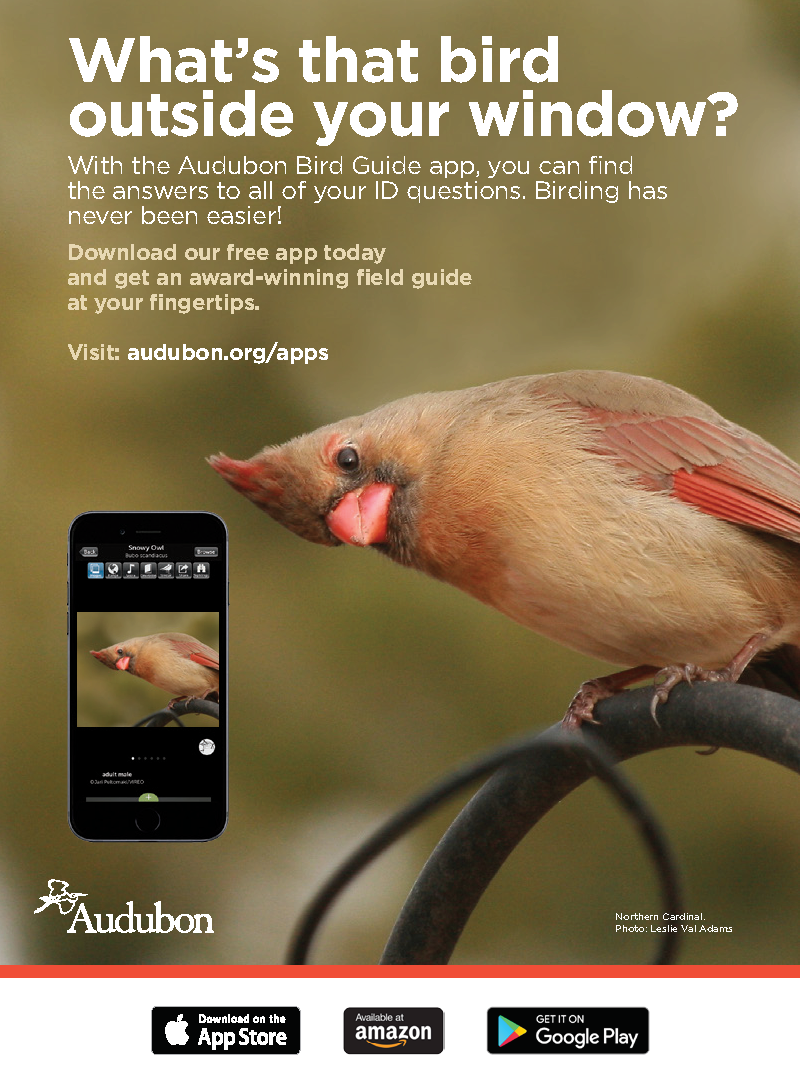 AU0217_AudAppAd_v6_Page_2.png