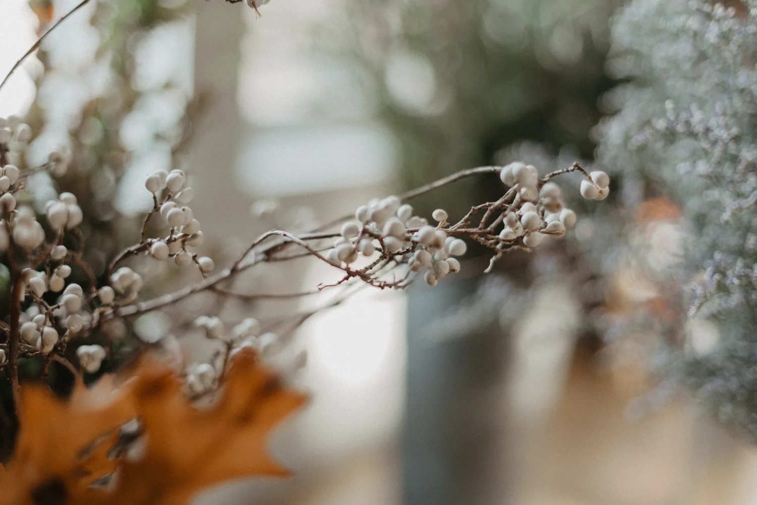 6D0A7281.jpg