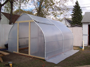 greenhouse-1.jpg