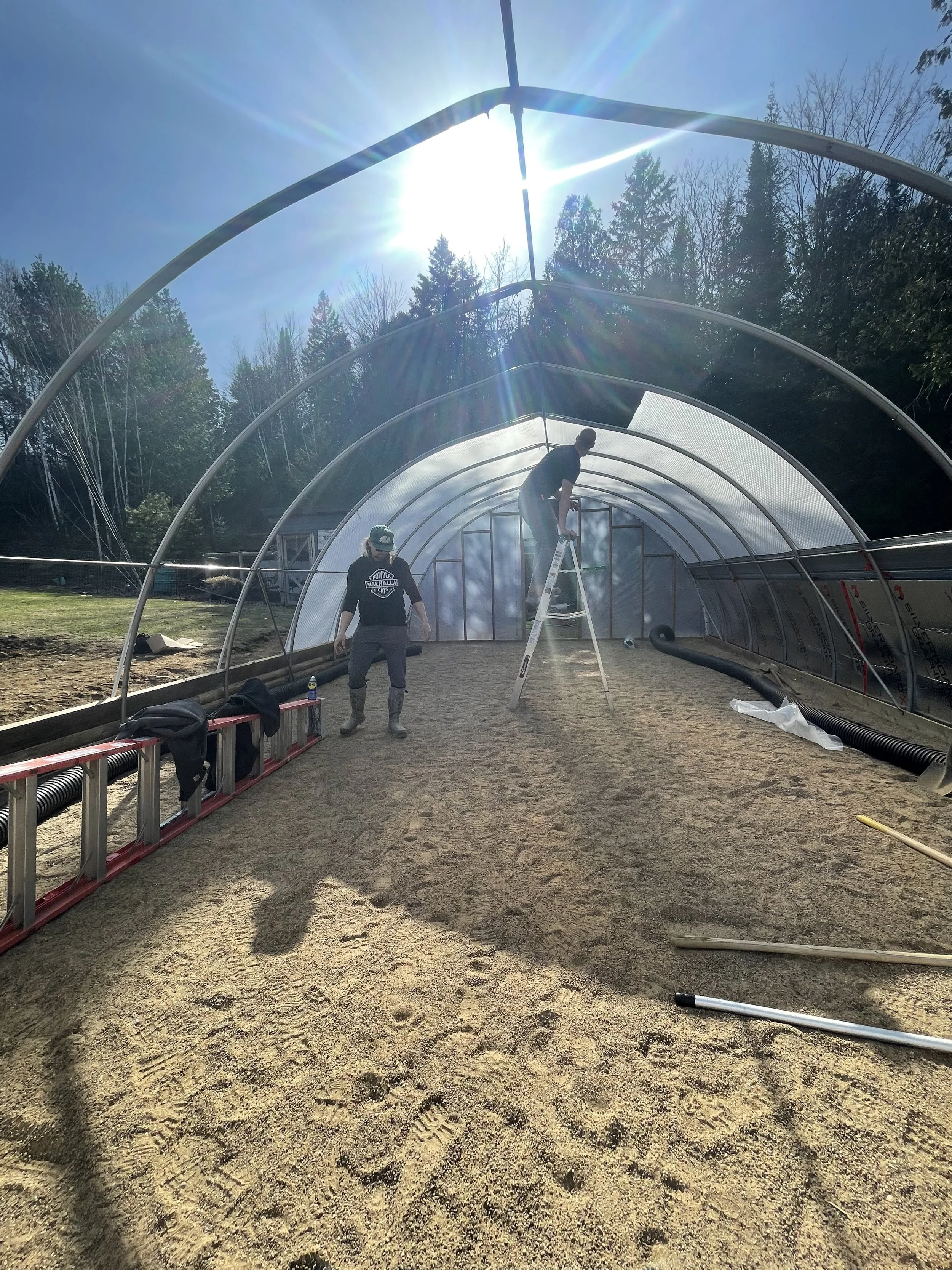 CedarGroveConstruction2.jpeg