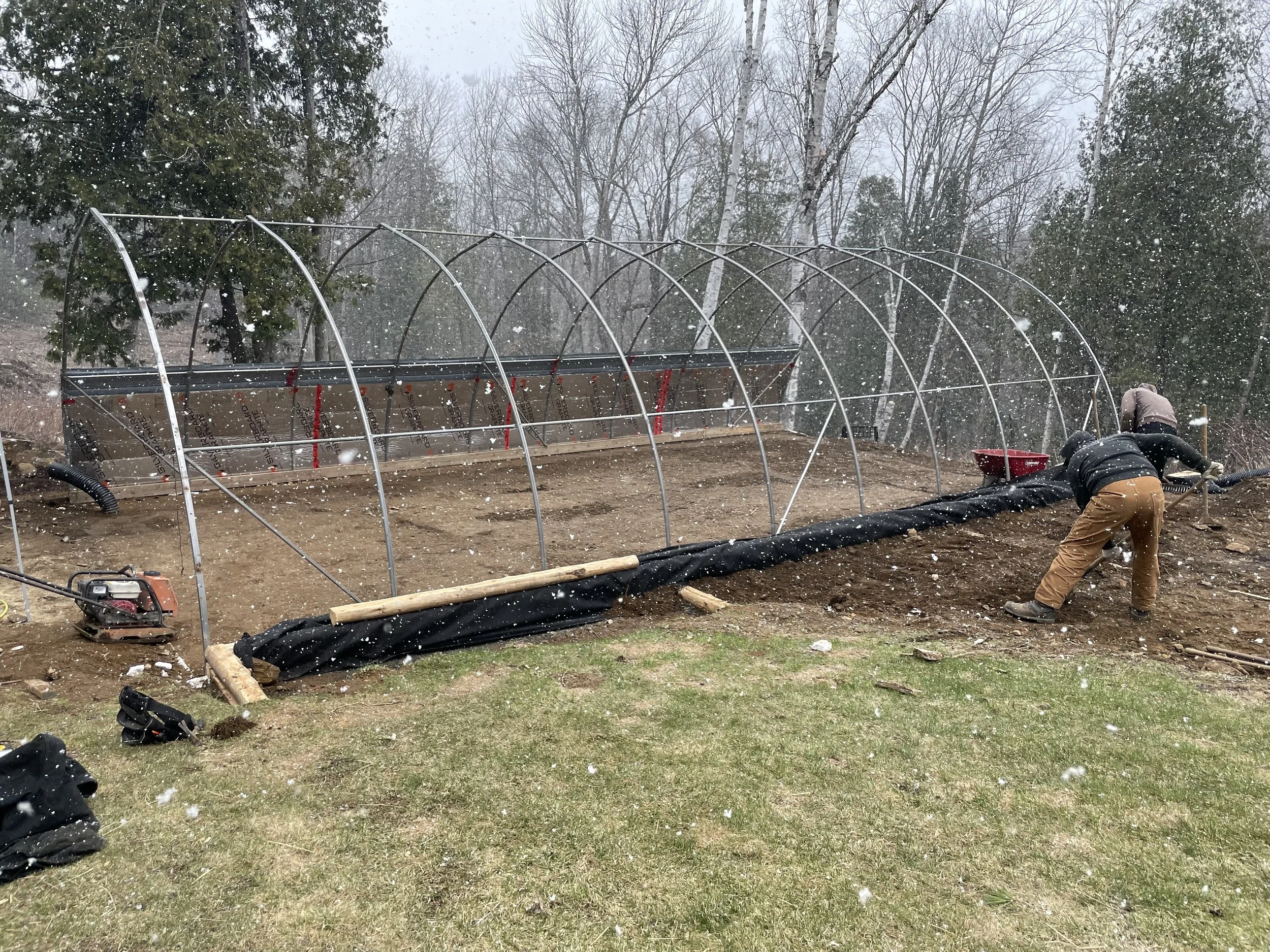 CedarGroveConstruction5.jpeg