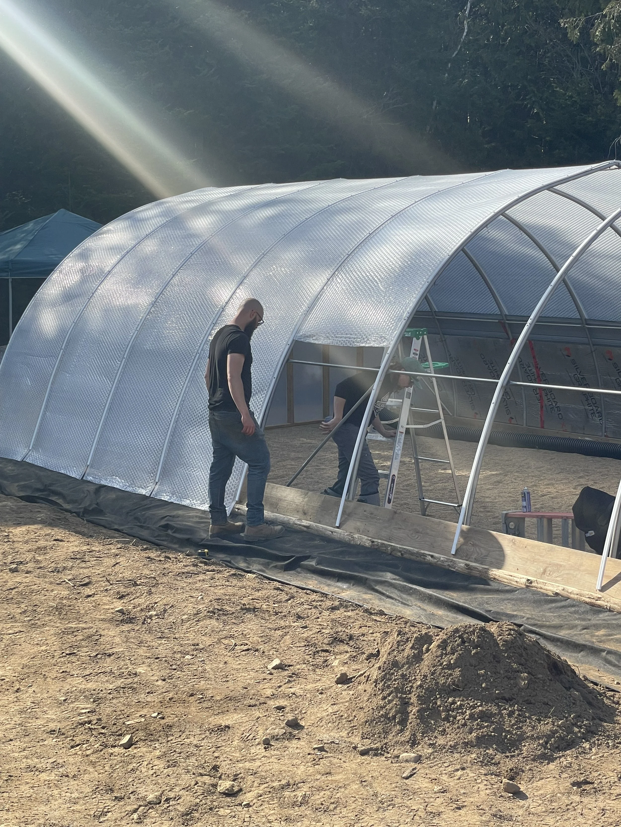 How to choose the right greenhouse for you