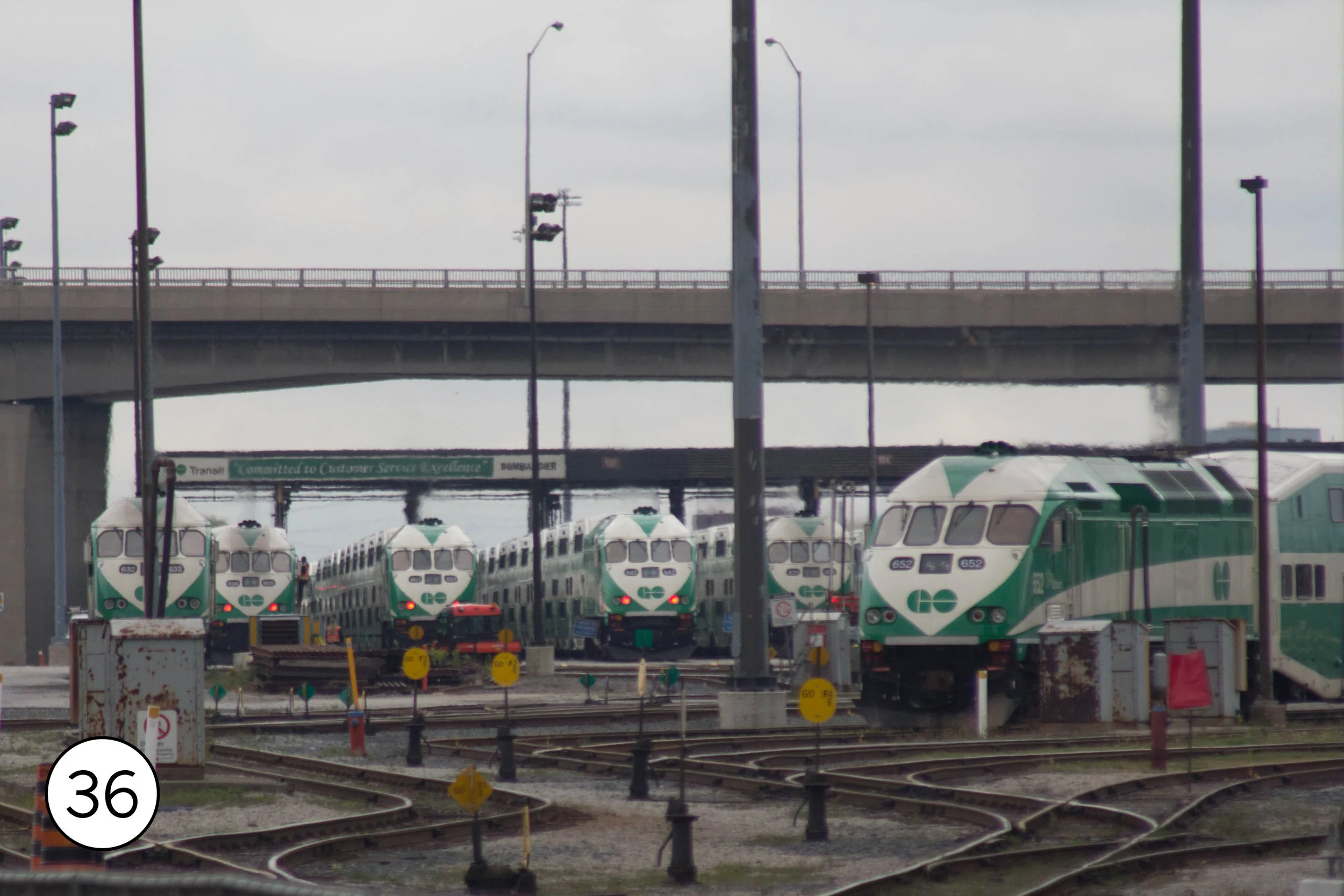 toronto36.jpg