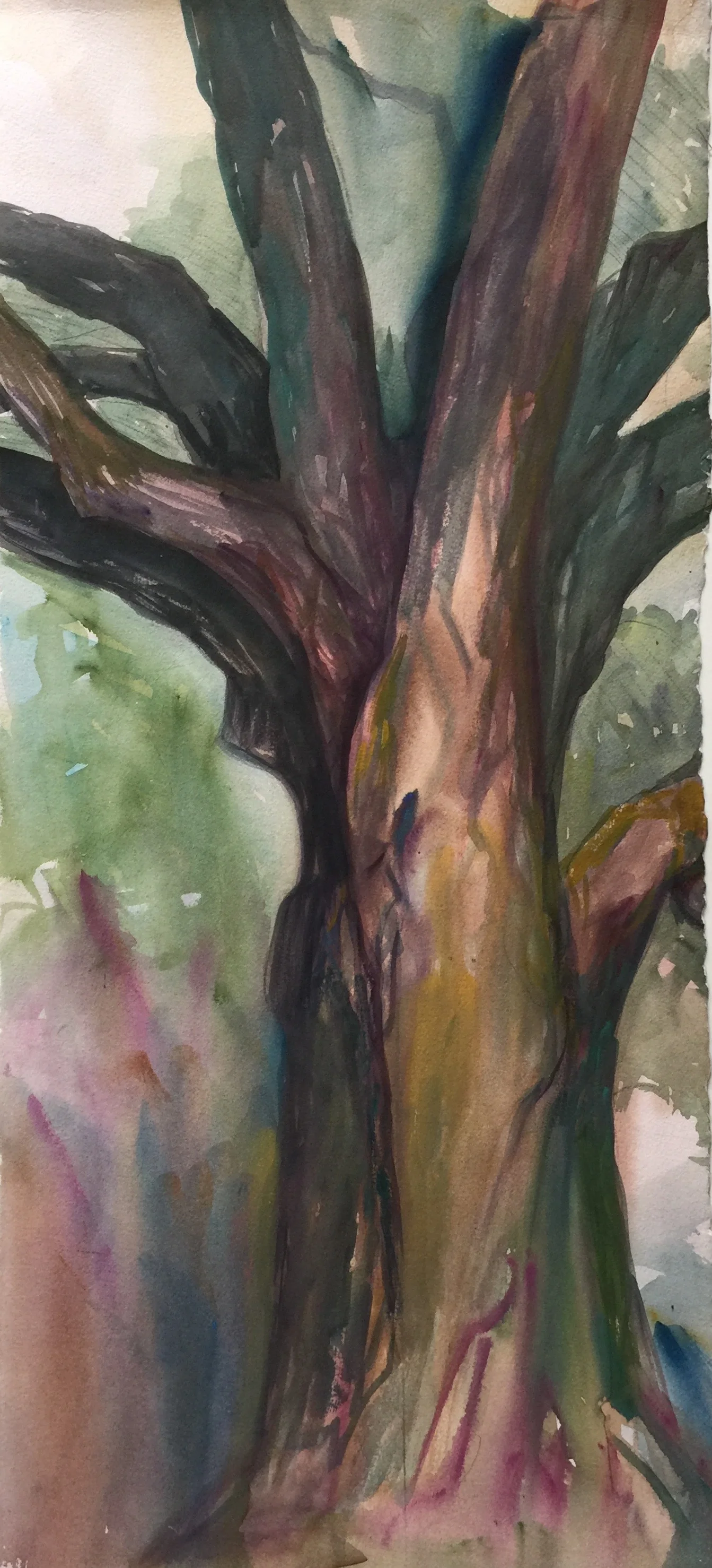 Tree Form, 12x30