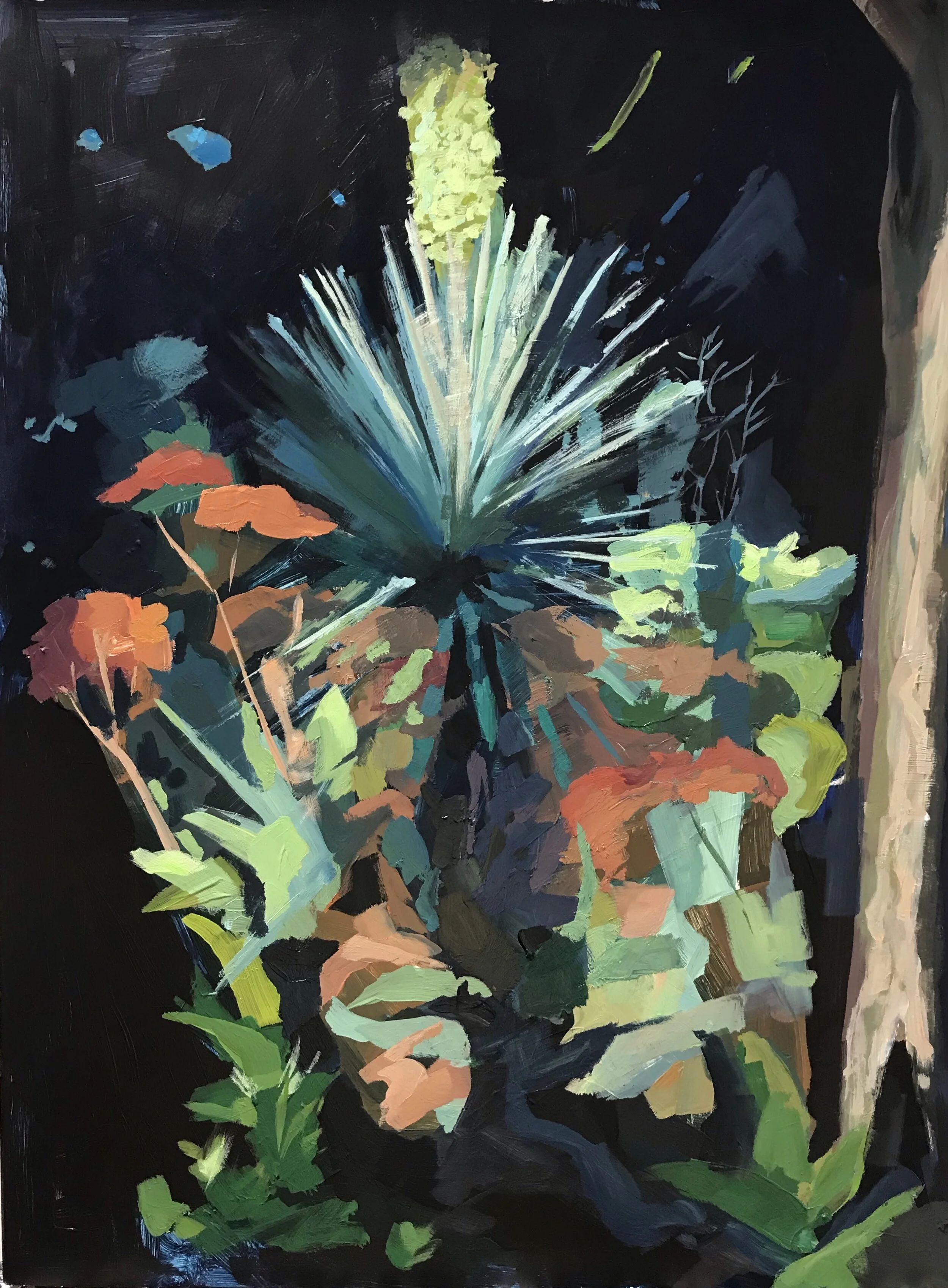 Howell_Devin_yucca_acryliconpanel_12X16.jpg
